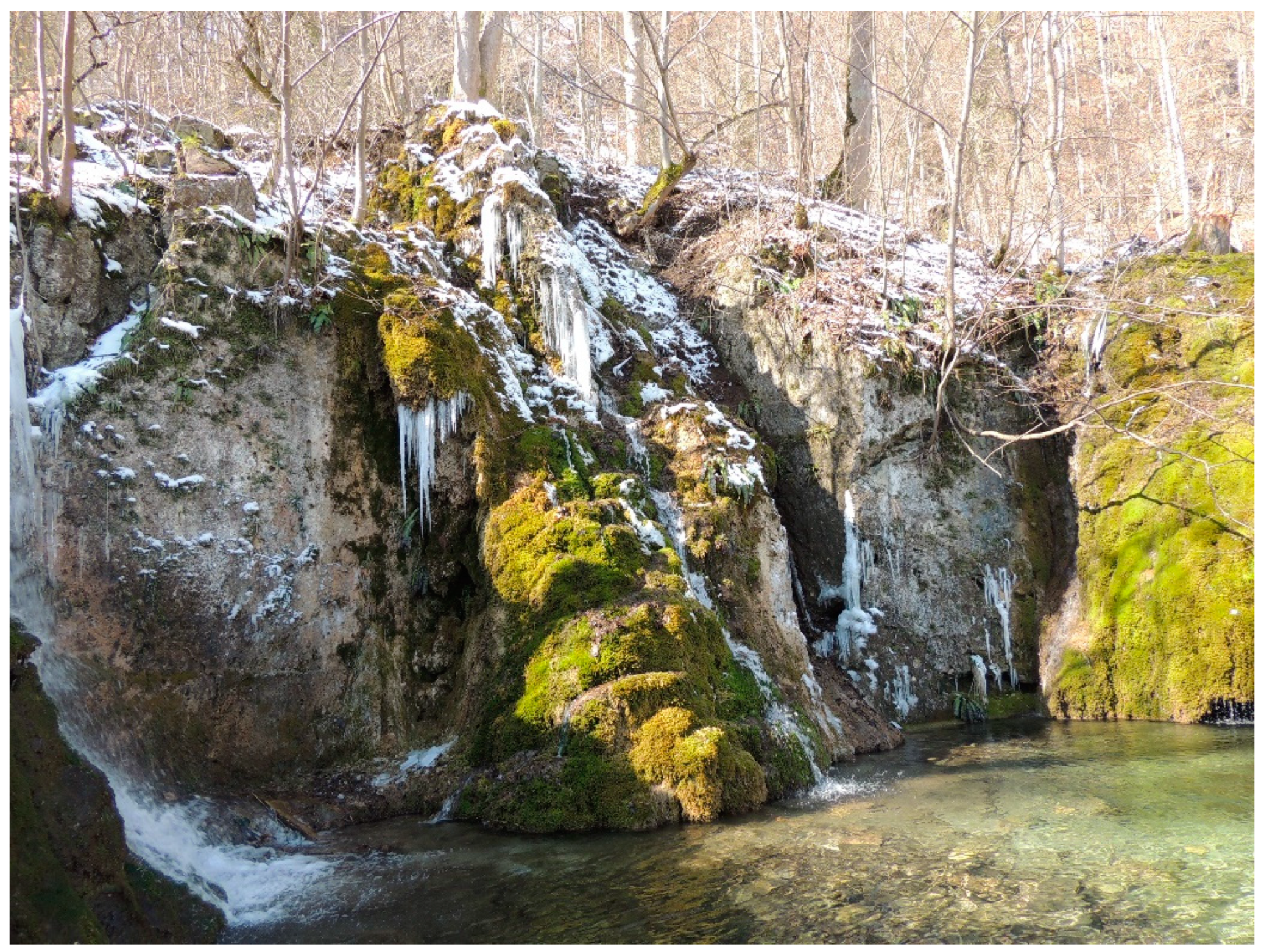 Geosciences 11 00198 g010