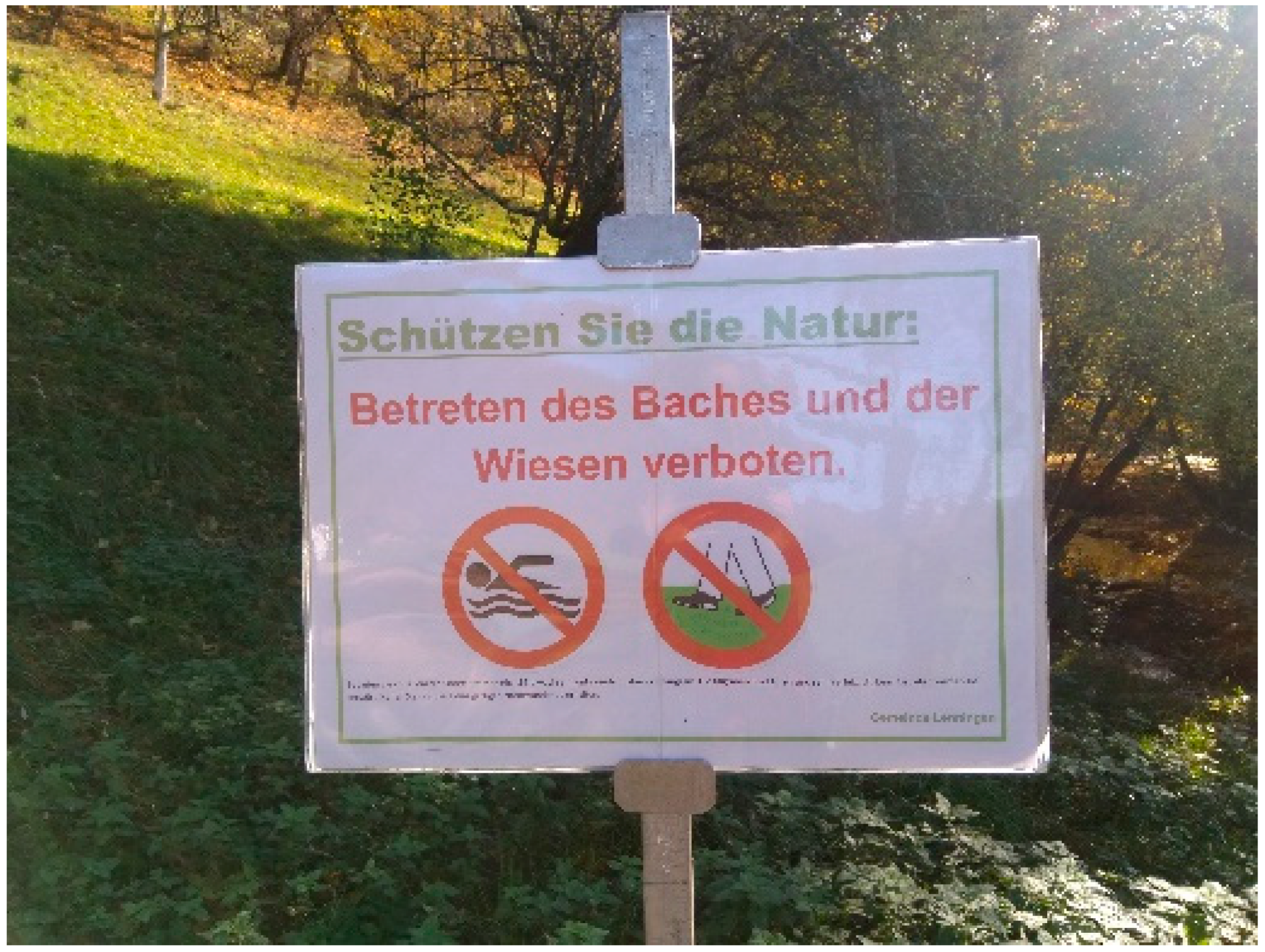 Geosciences 11 00198 g021