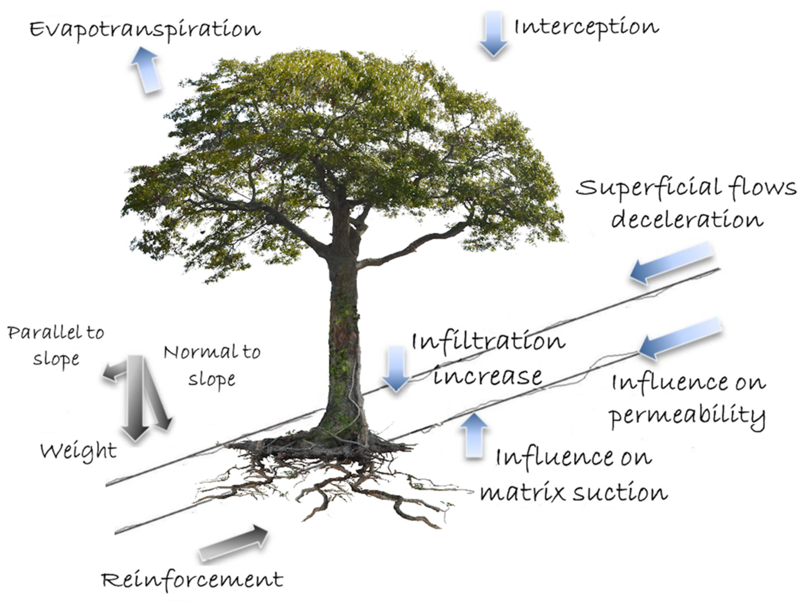 Geosciences 11 00212 g001 Geosciences 11 00212 g001