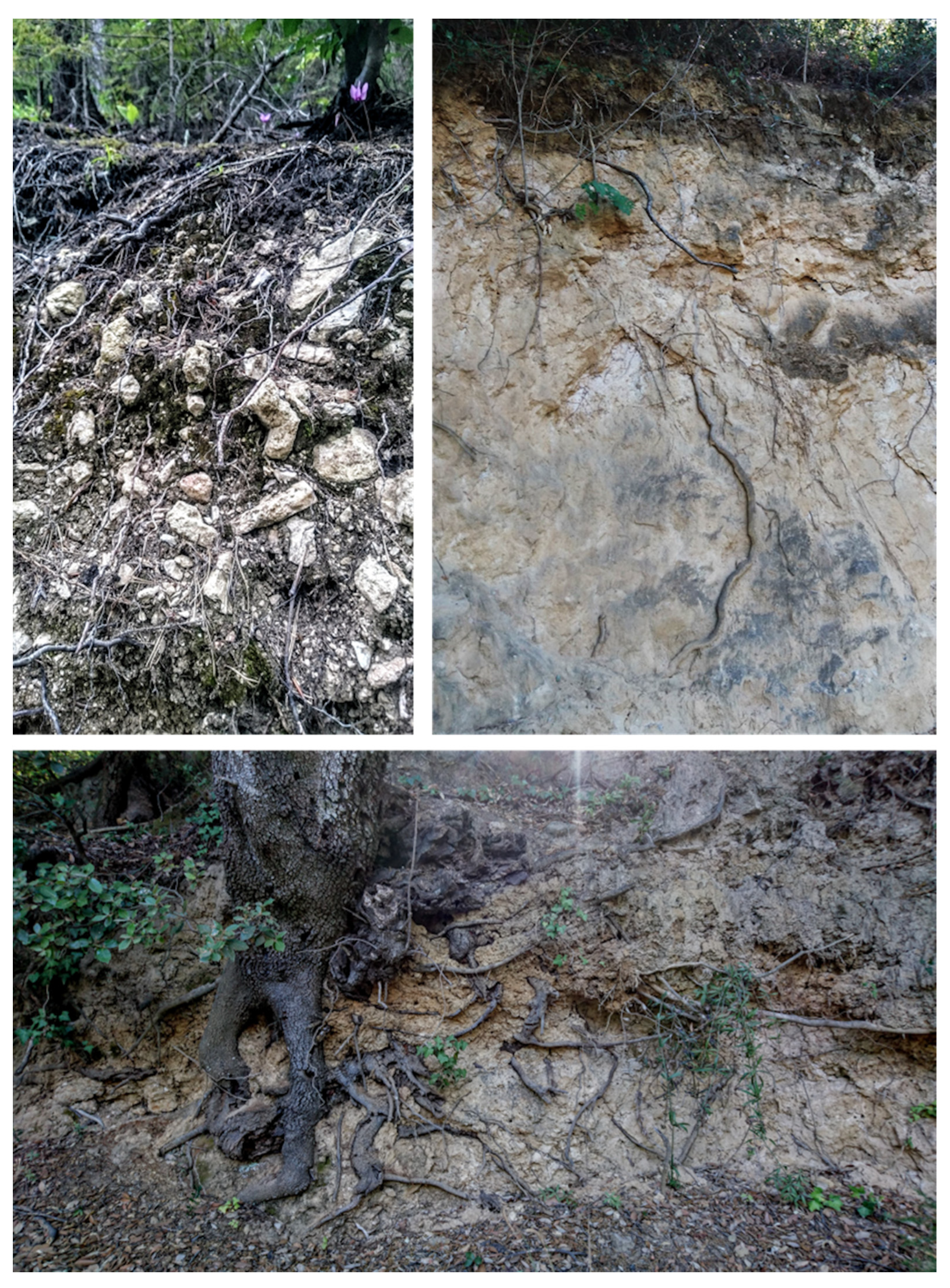 Geosciences 11 00212 g002 Geosciences 11 00212 g002