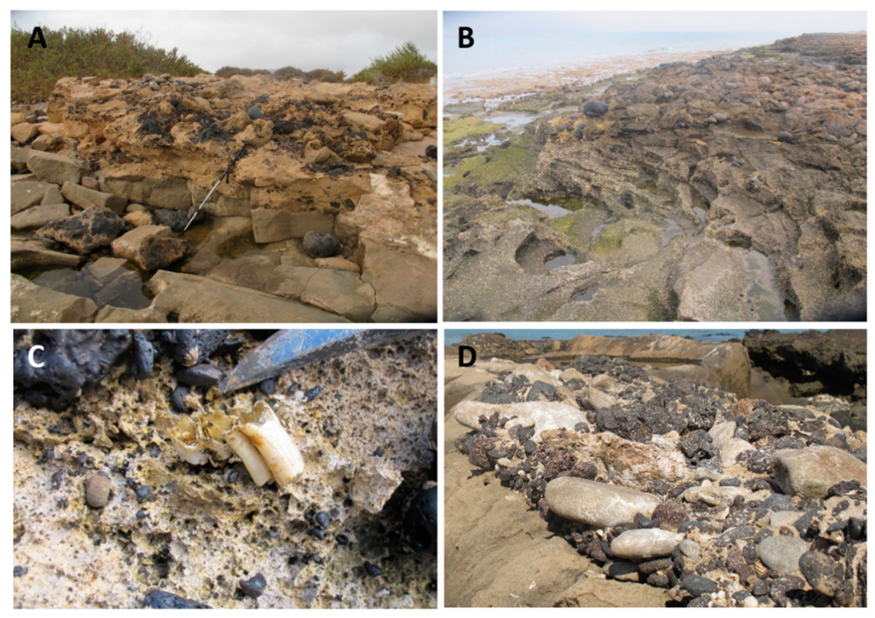 Geosciences 11 00222 g003