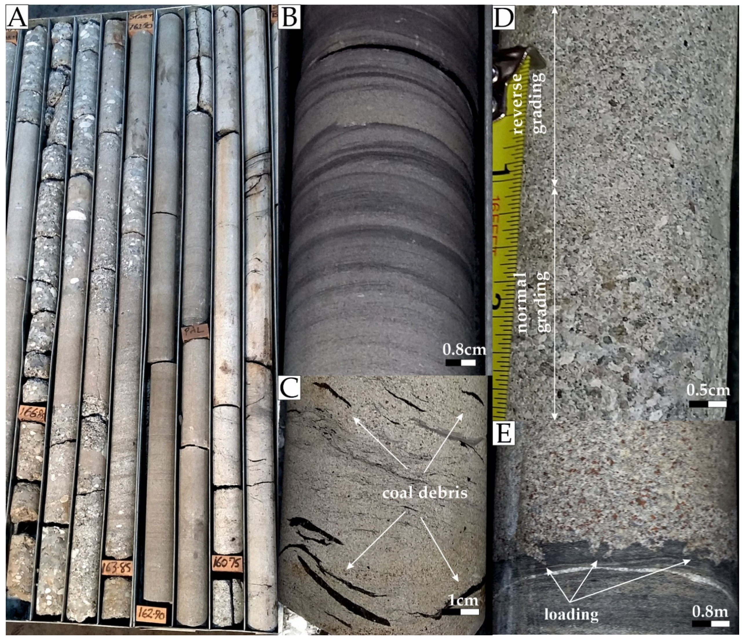 Geosciences 11 00273 g004