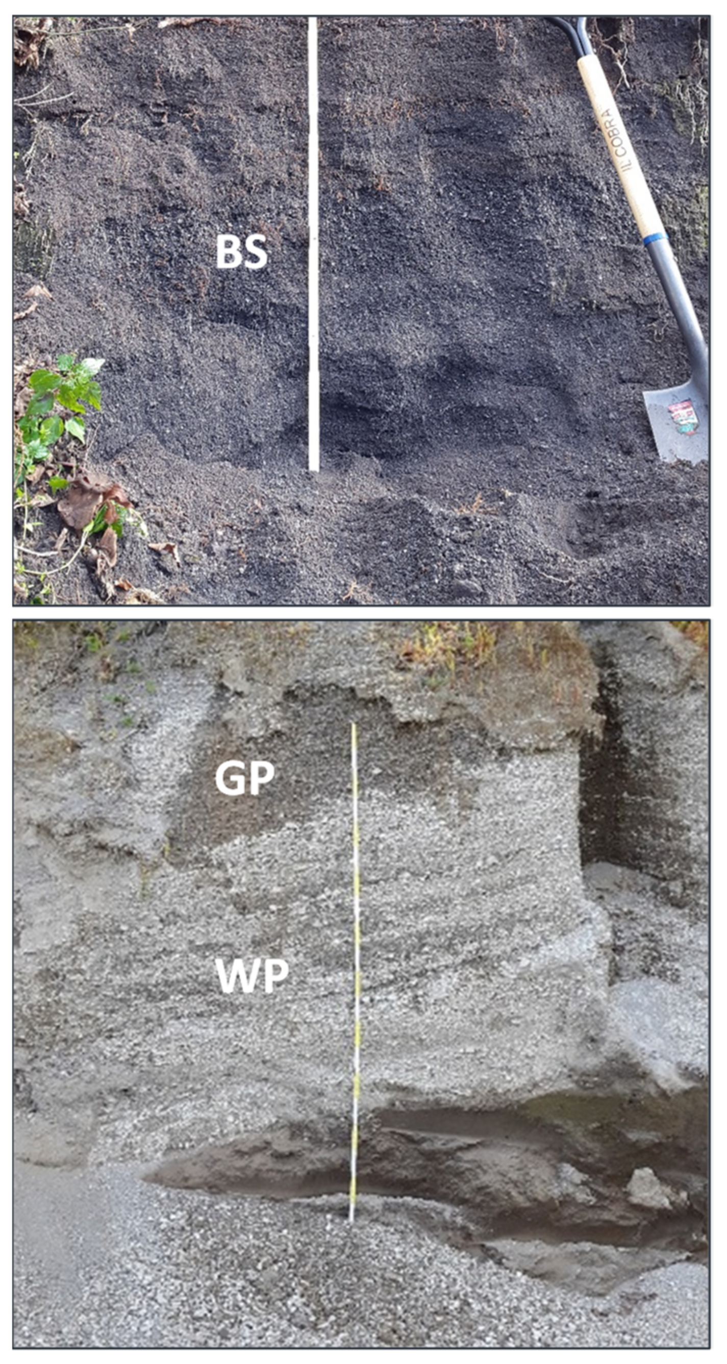 Geosciences 11 00274 g003
