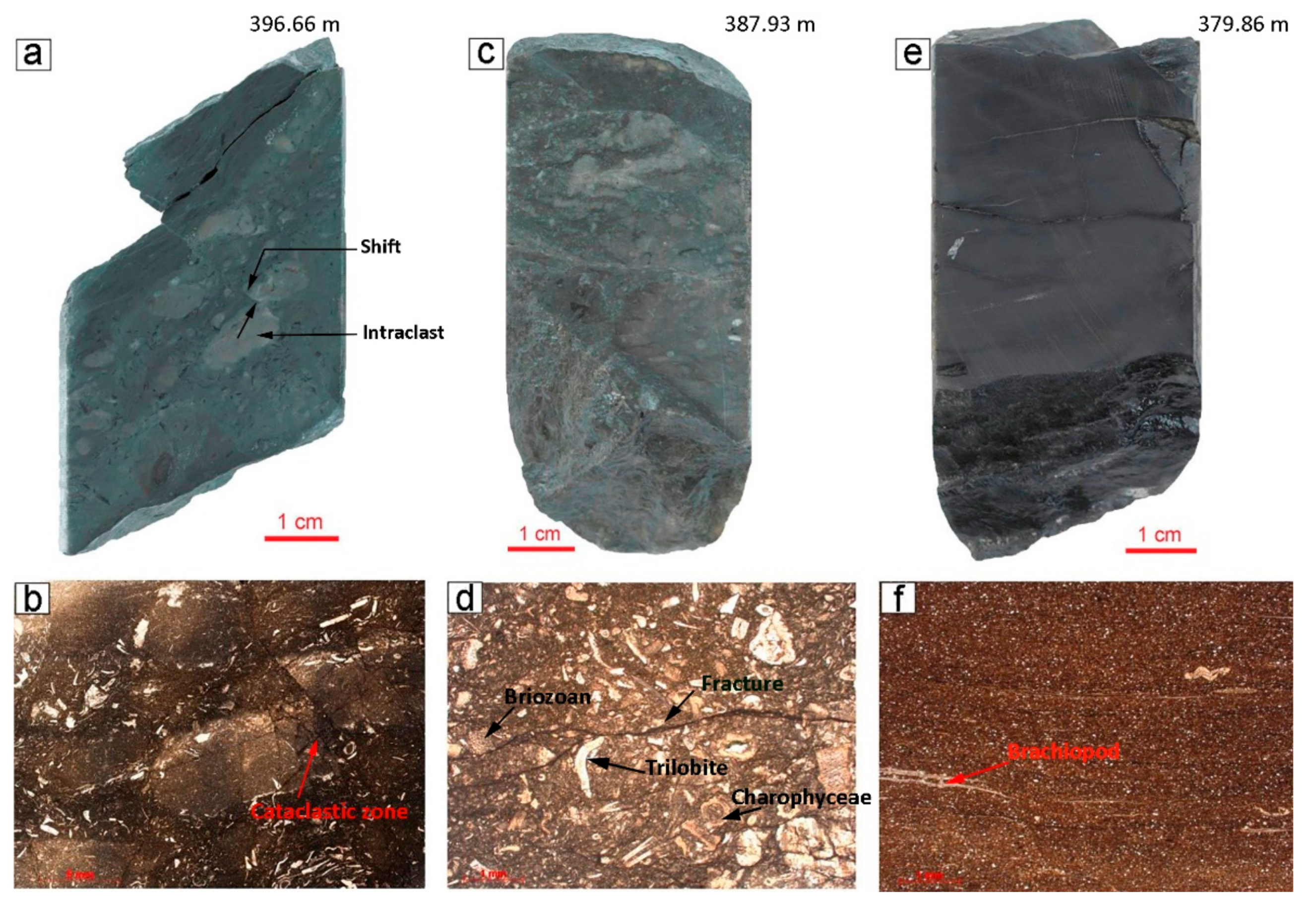 Geosciences 11 00281 g007