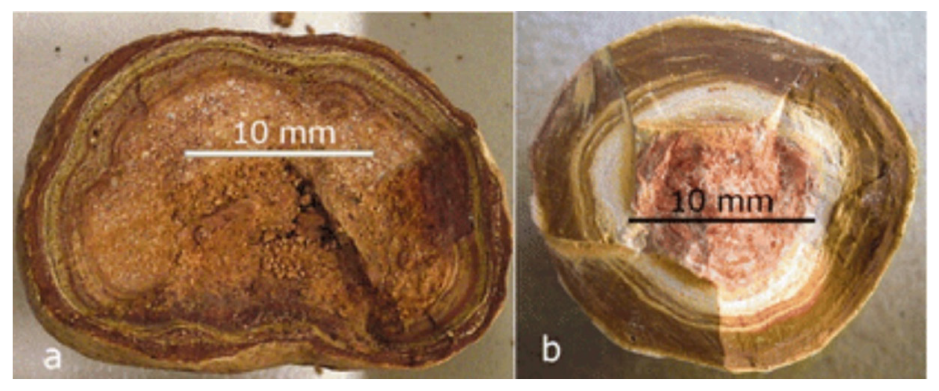 Geosciences 11 00284 g002