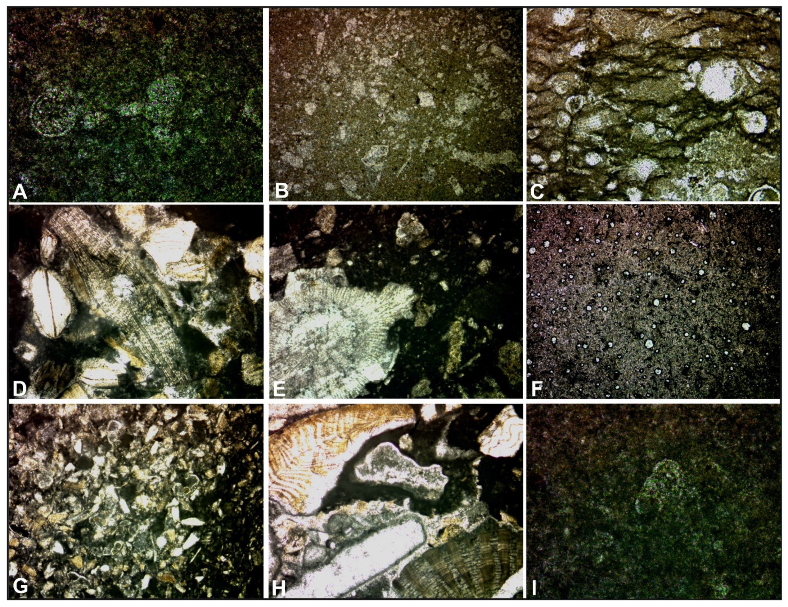 Geosciences 11 00288 g006