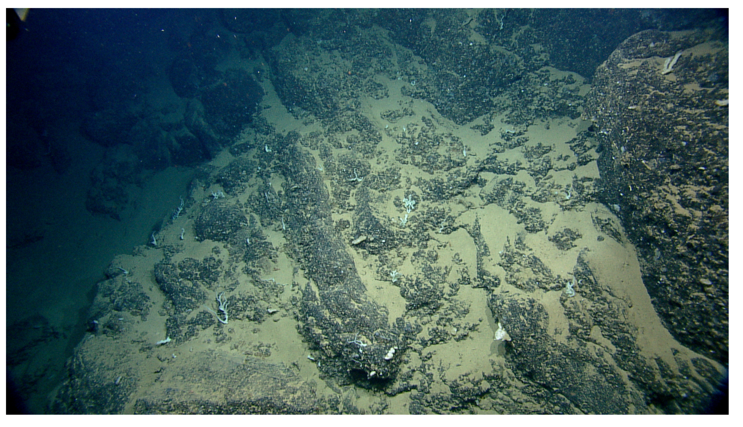 Geosciences 11 00290 g006