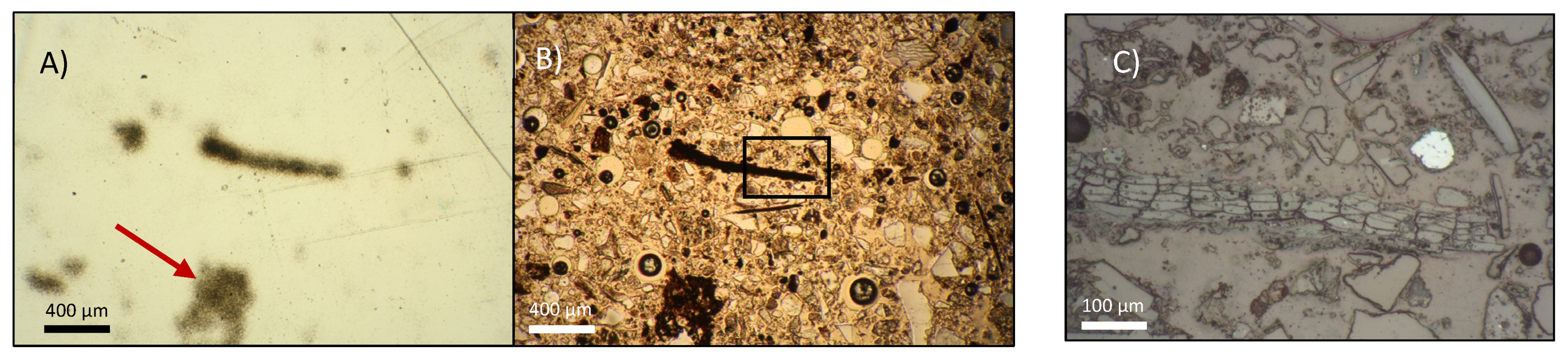 Geosciences 11 00294 g004