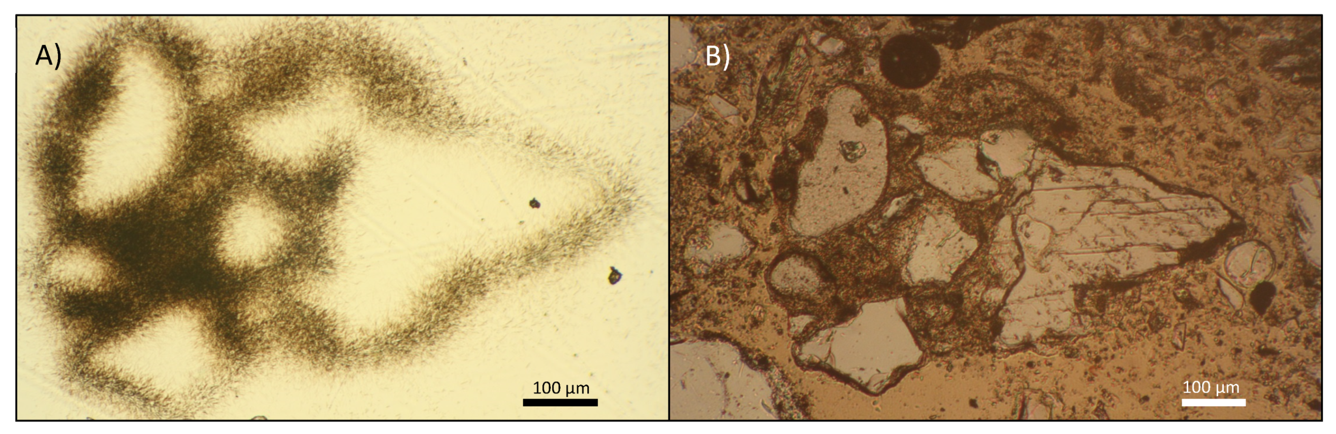 Geosciences 11 00294 g006