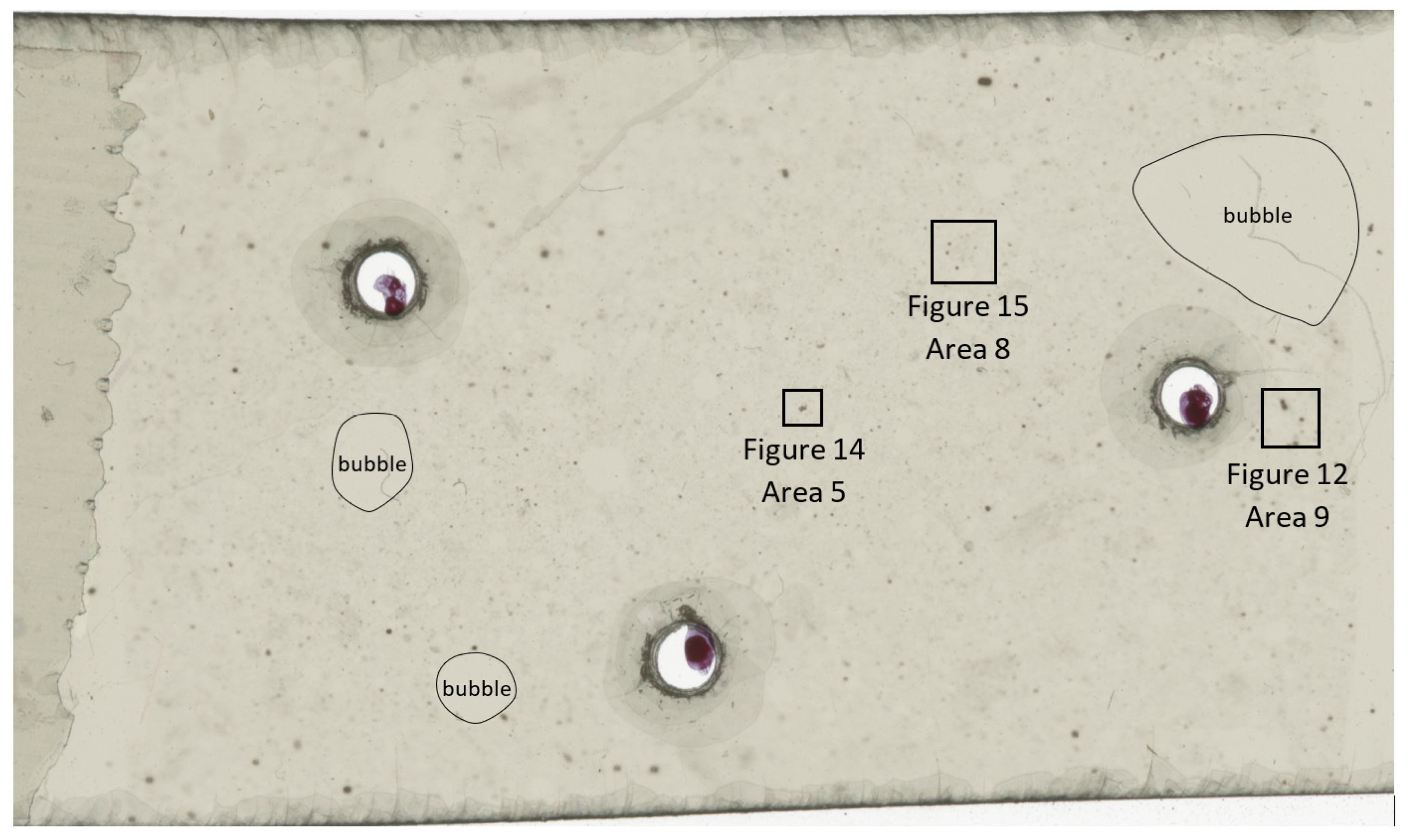 Geosciences 11 00294 g008