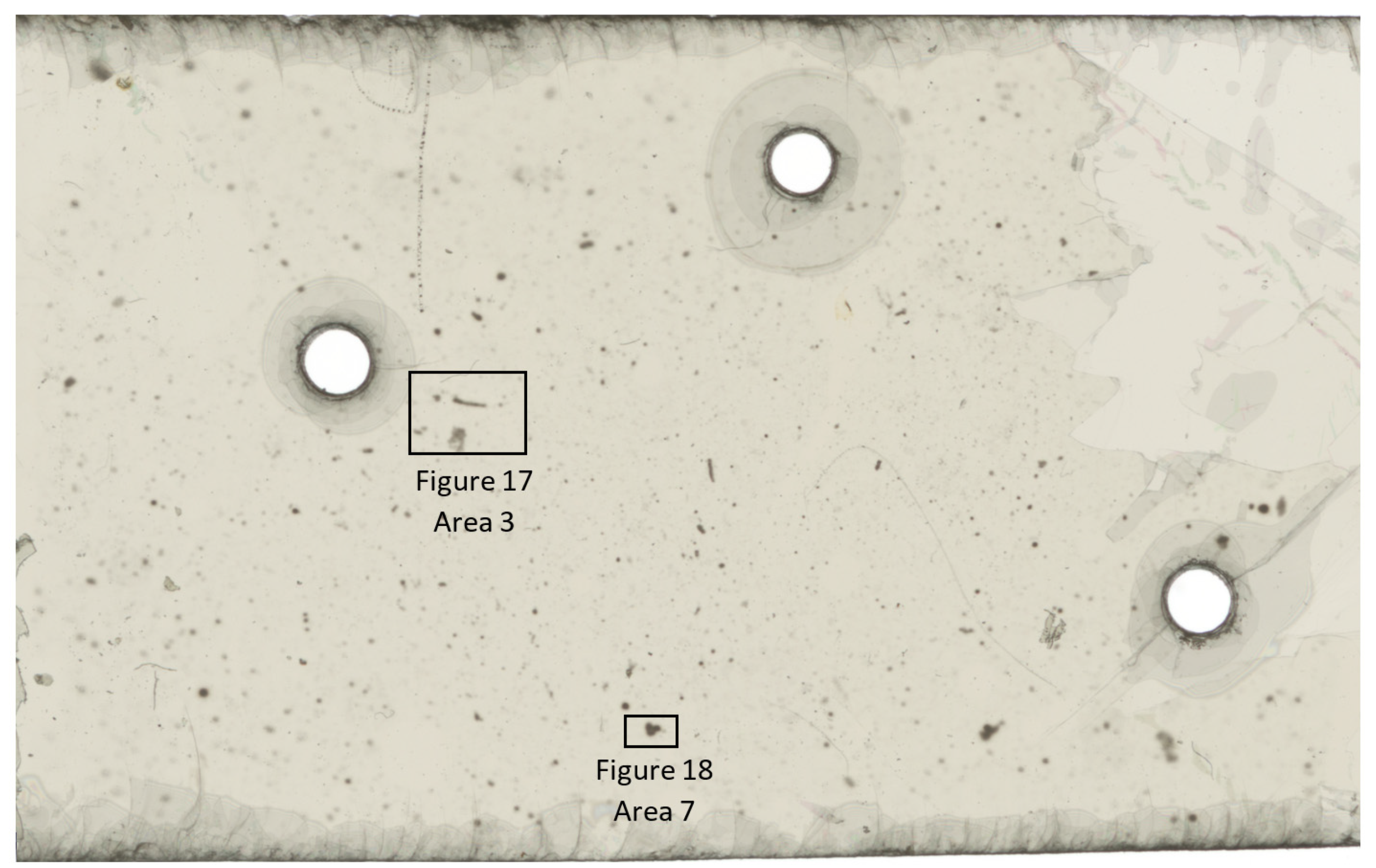 Geosciences 11 00294 g009