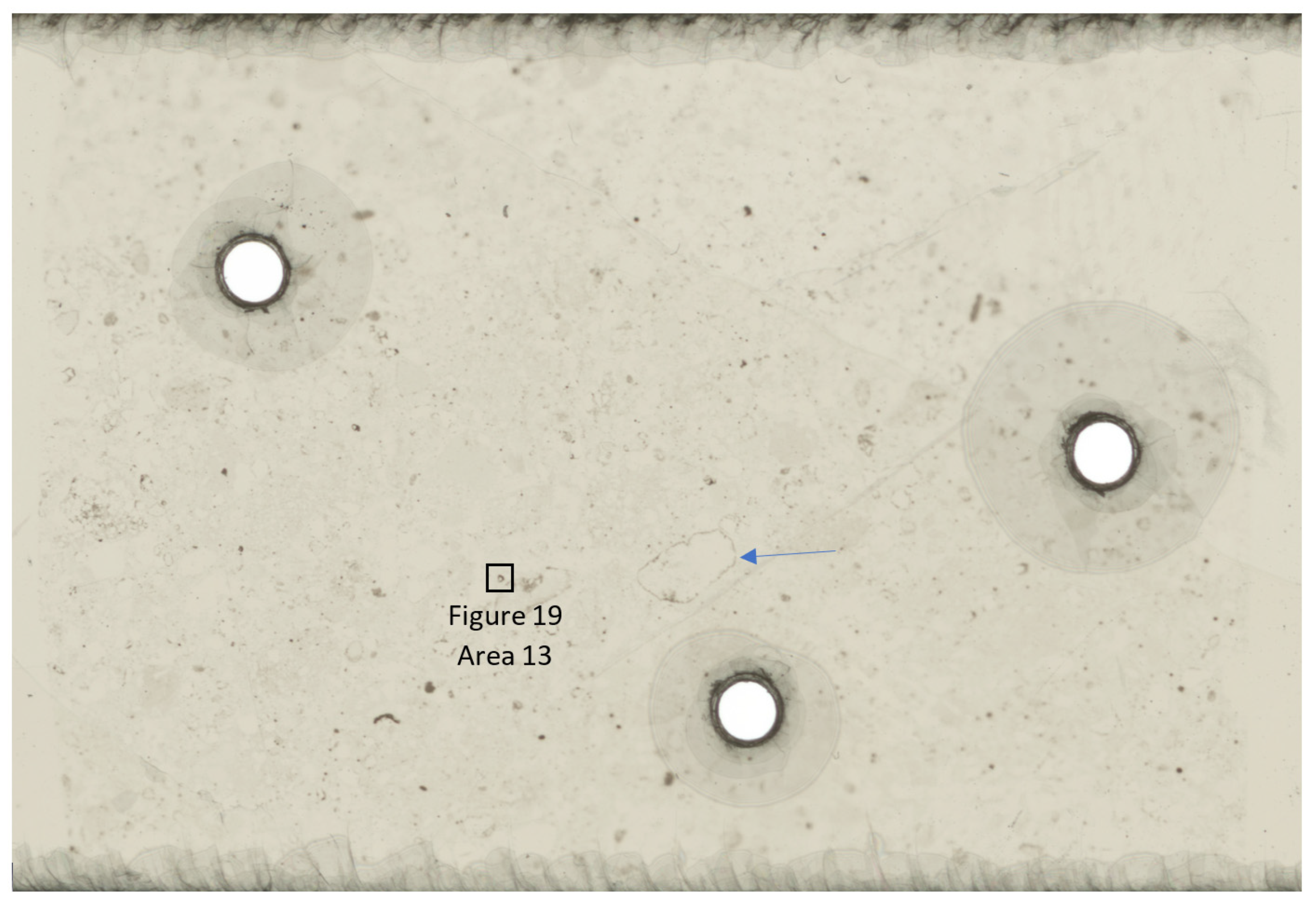 Geosciences 11 00294 g010