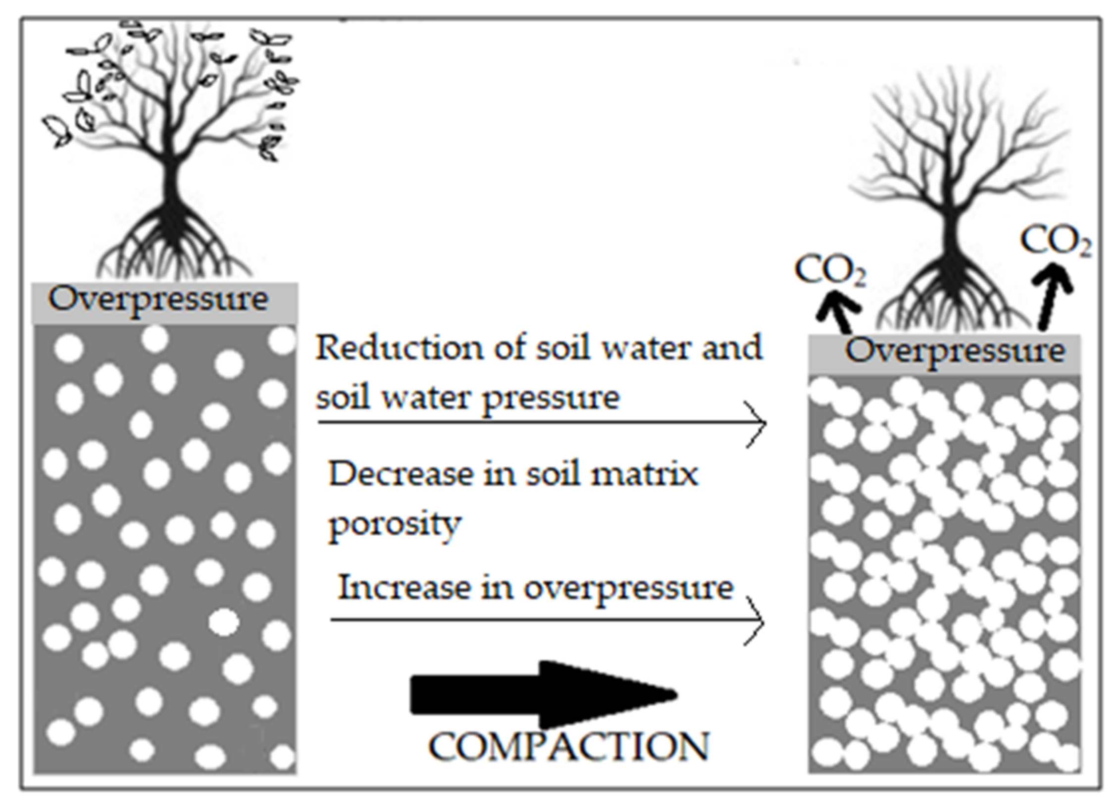 Geosciences 11 00300 g001