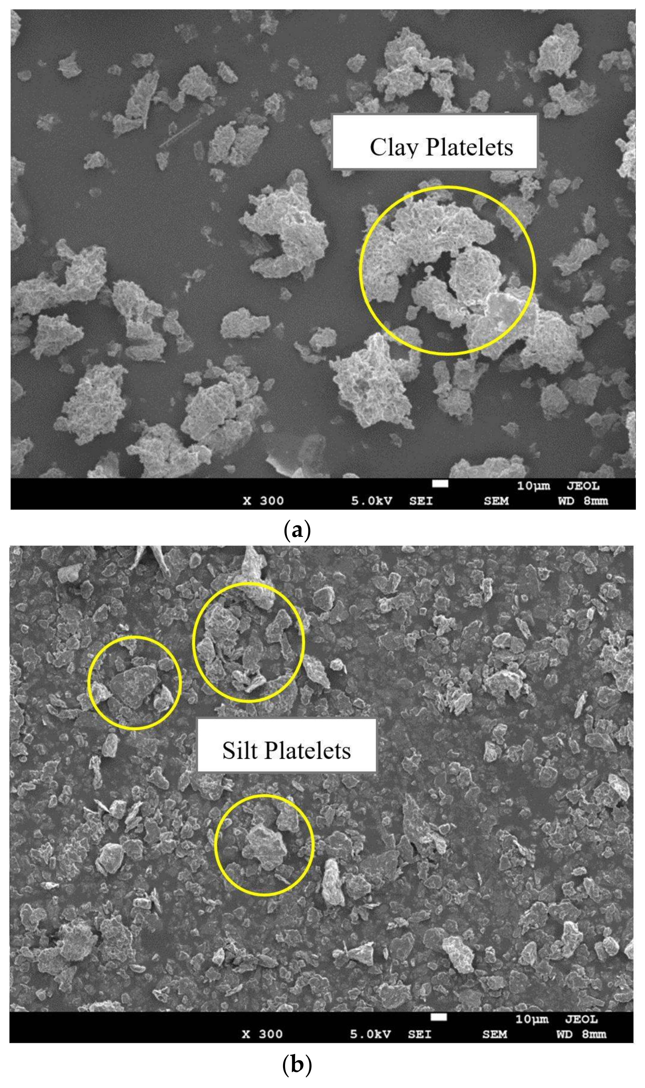 Geosciences 11 00302 g001a