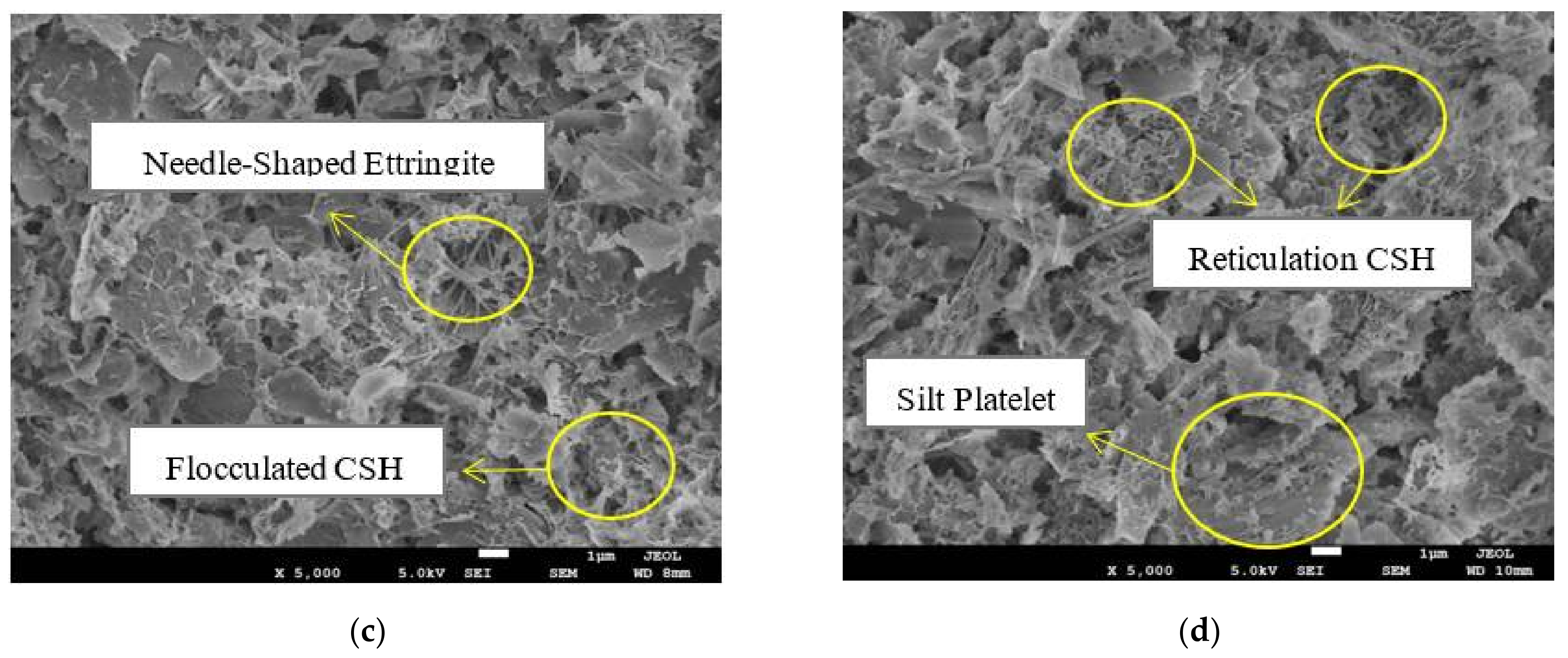 Geosciences 11 00302 g014b
