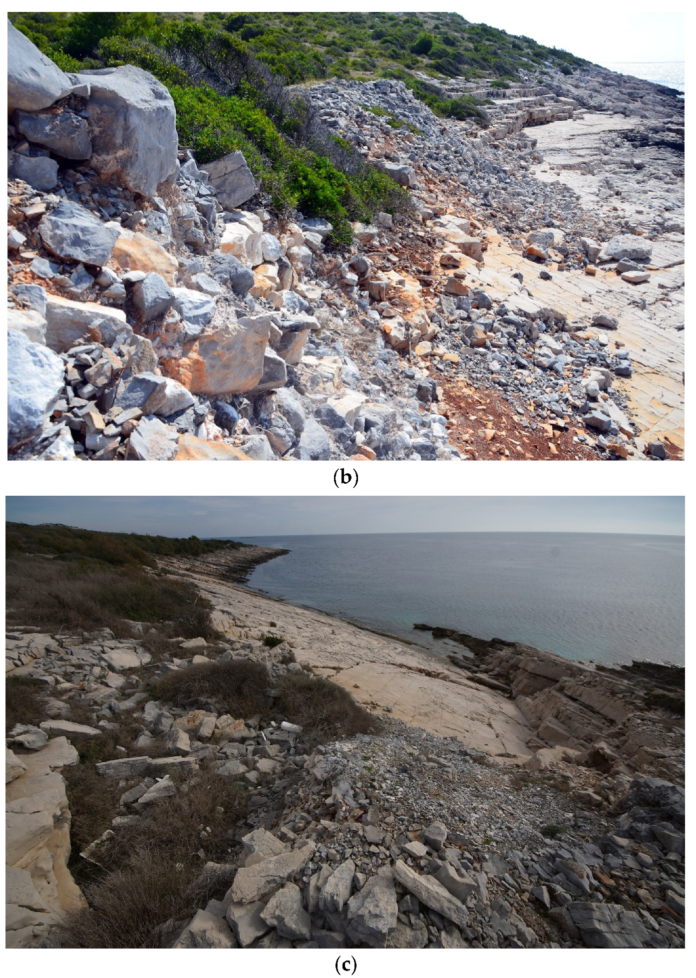 Geosciences 11 00303 g004b