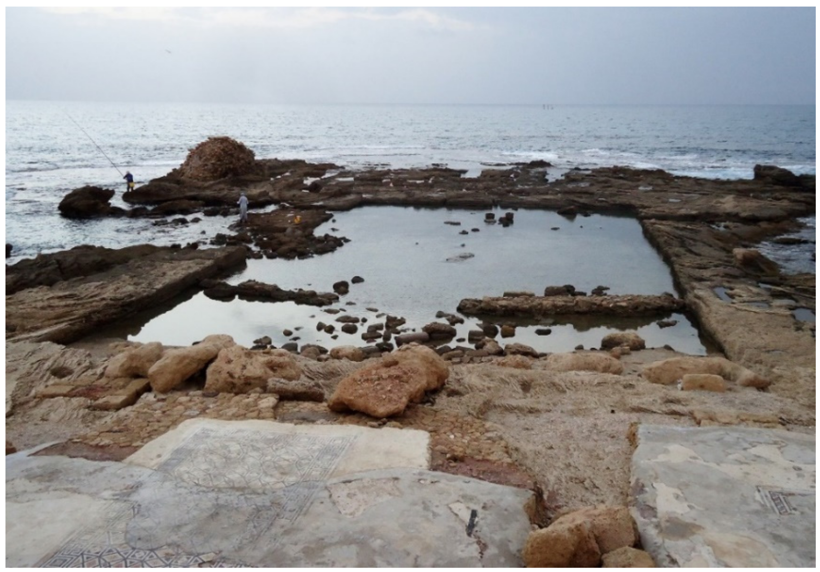 Geosciences 11 00306 g008