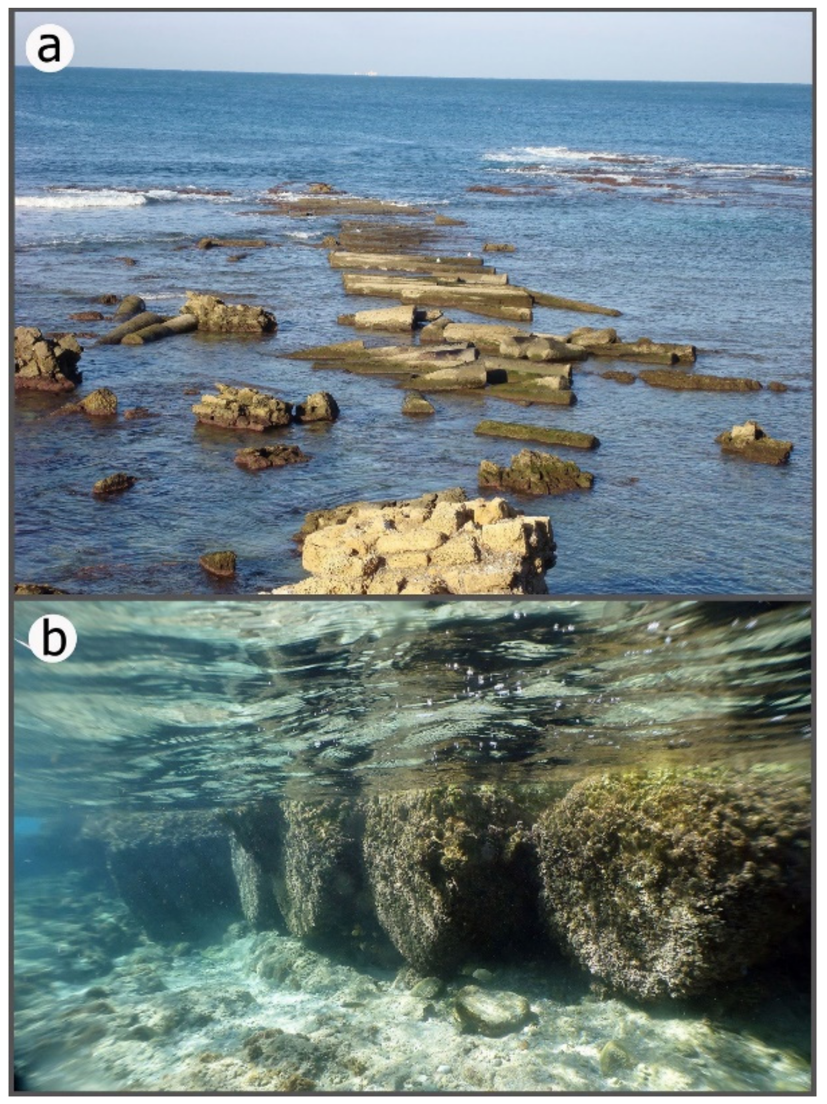 Geosciences 11 00306 g011