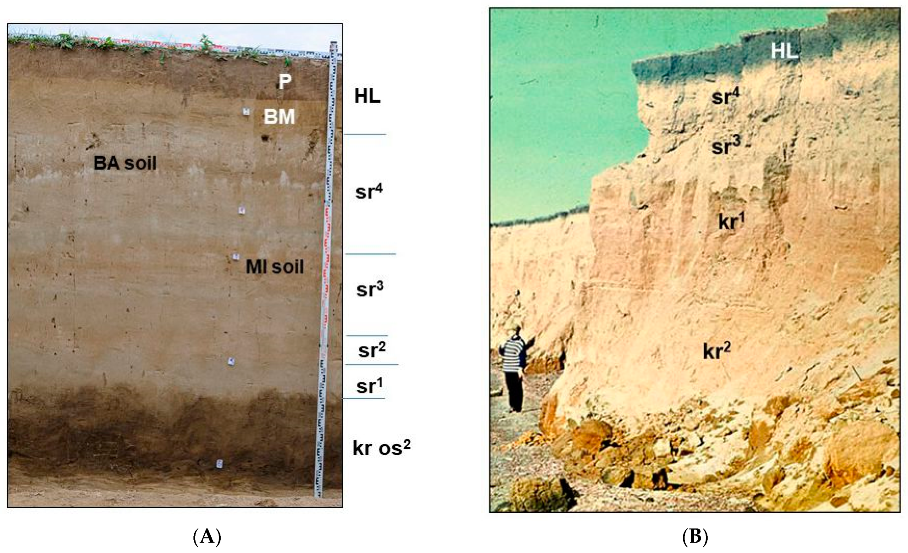 Geosciences 11 00323 g003