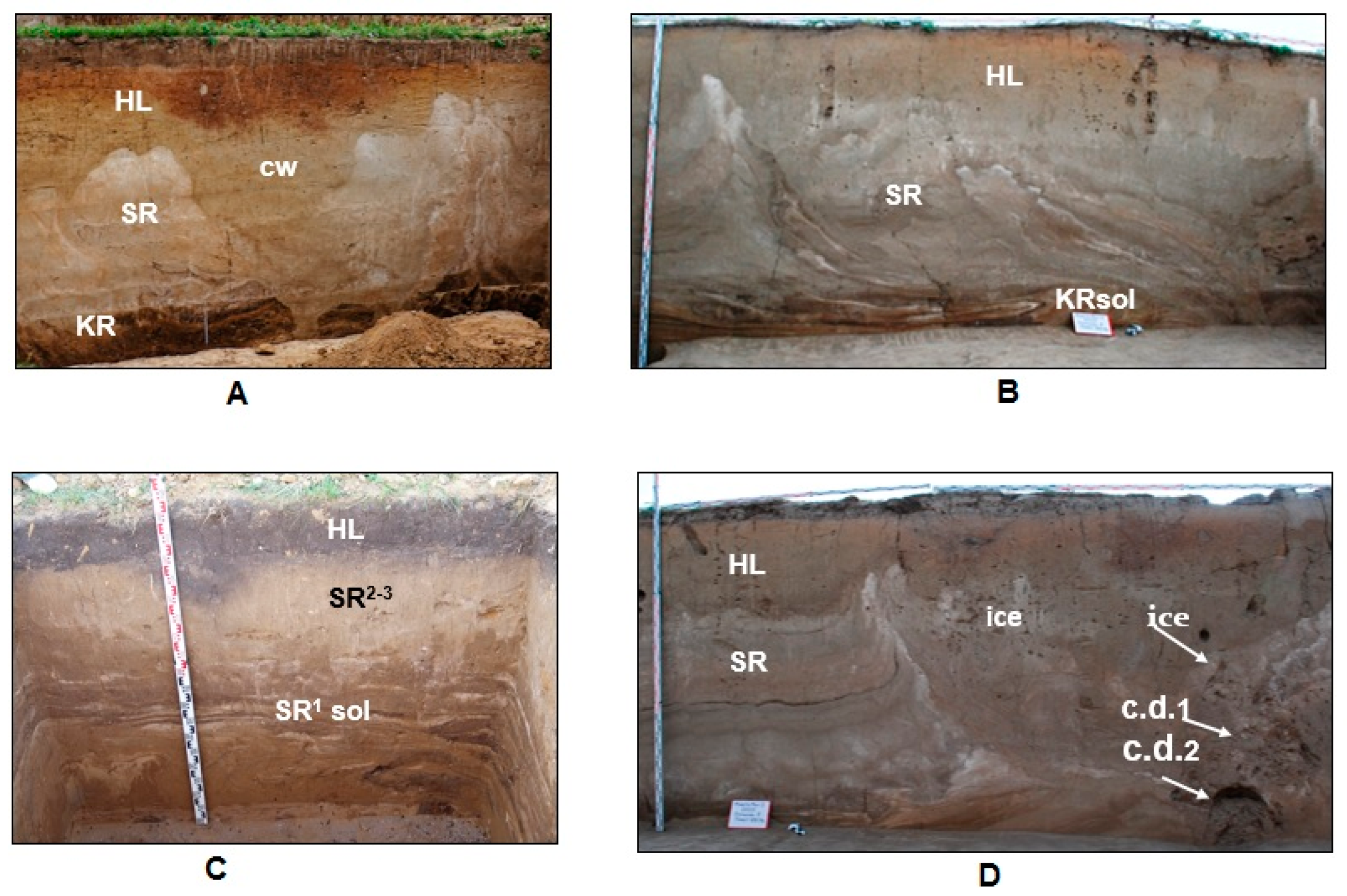 Geosciences 11 00323 g005