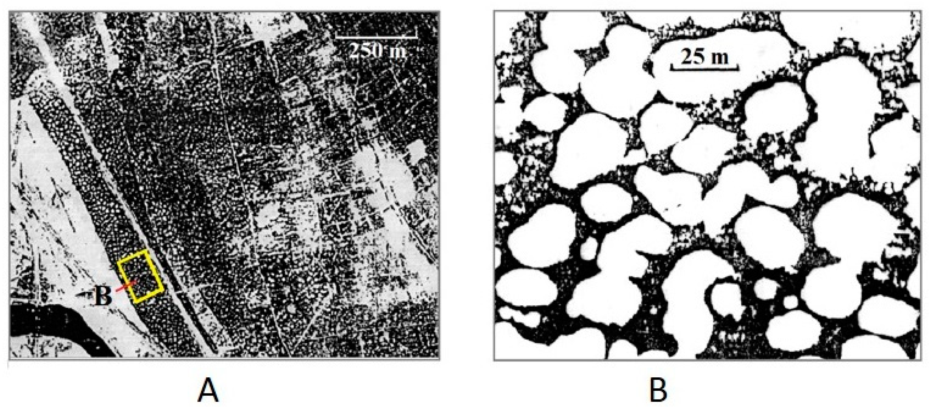 Geosciences 11 00323 g010