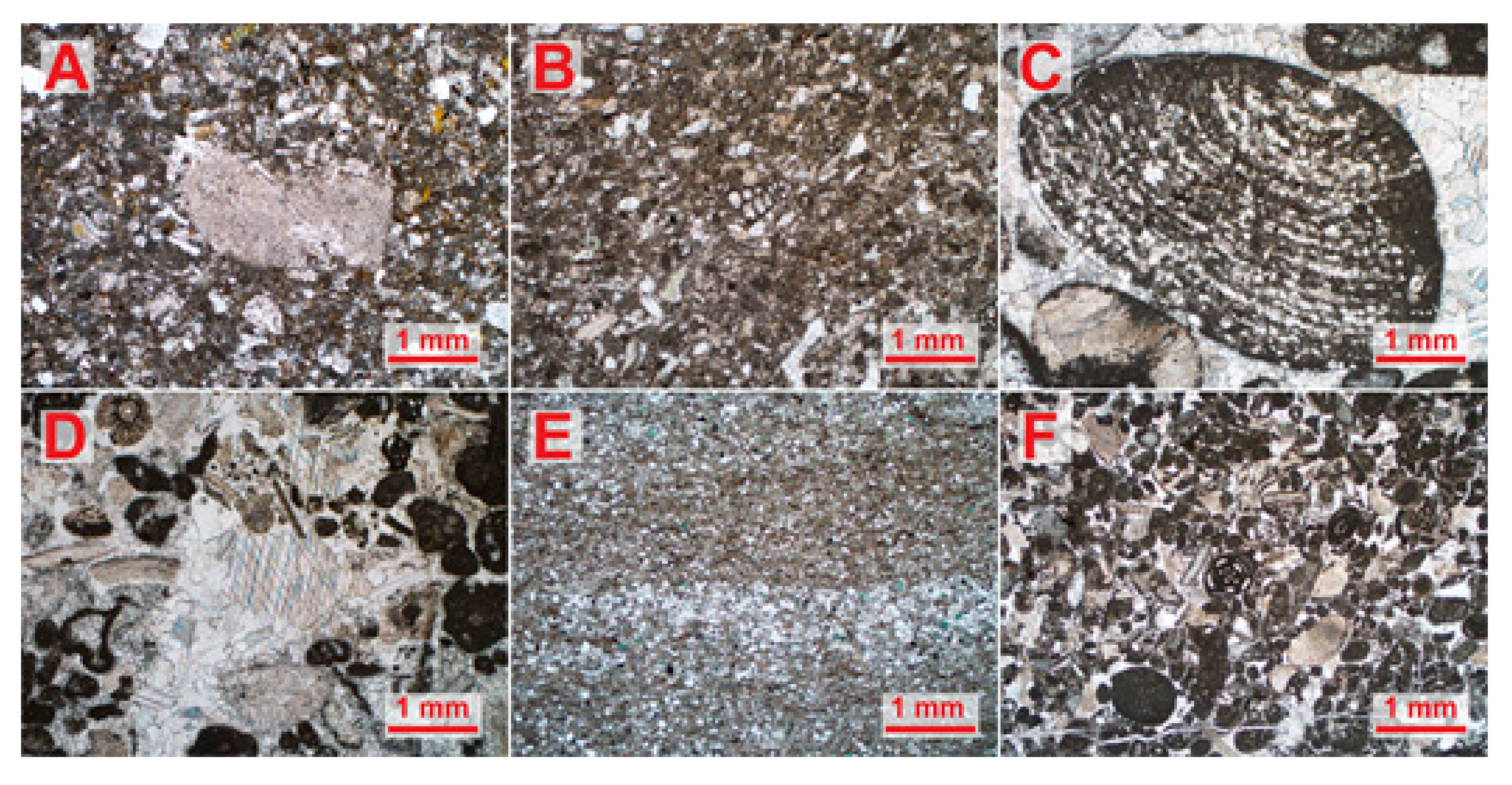 Geosciences 11 00331 g006