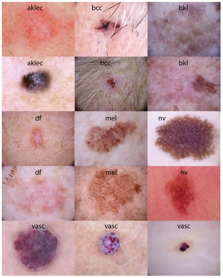 Geosciences 11 00336 g003 550