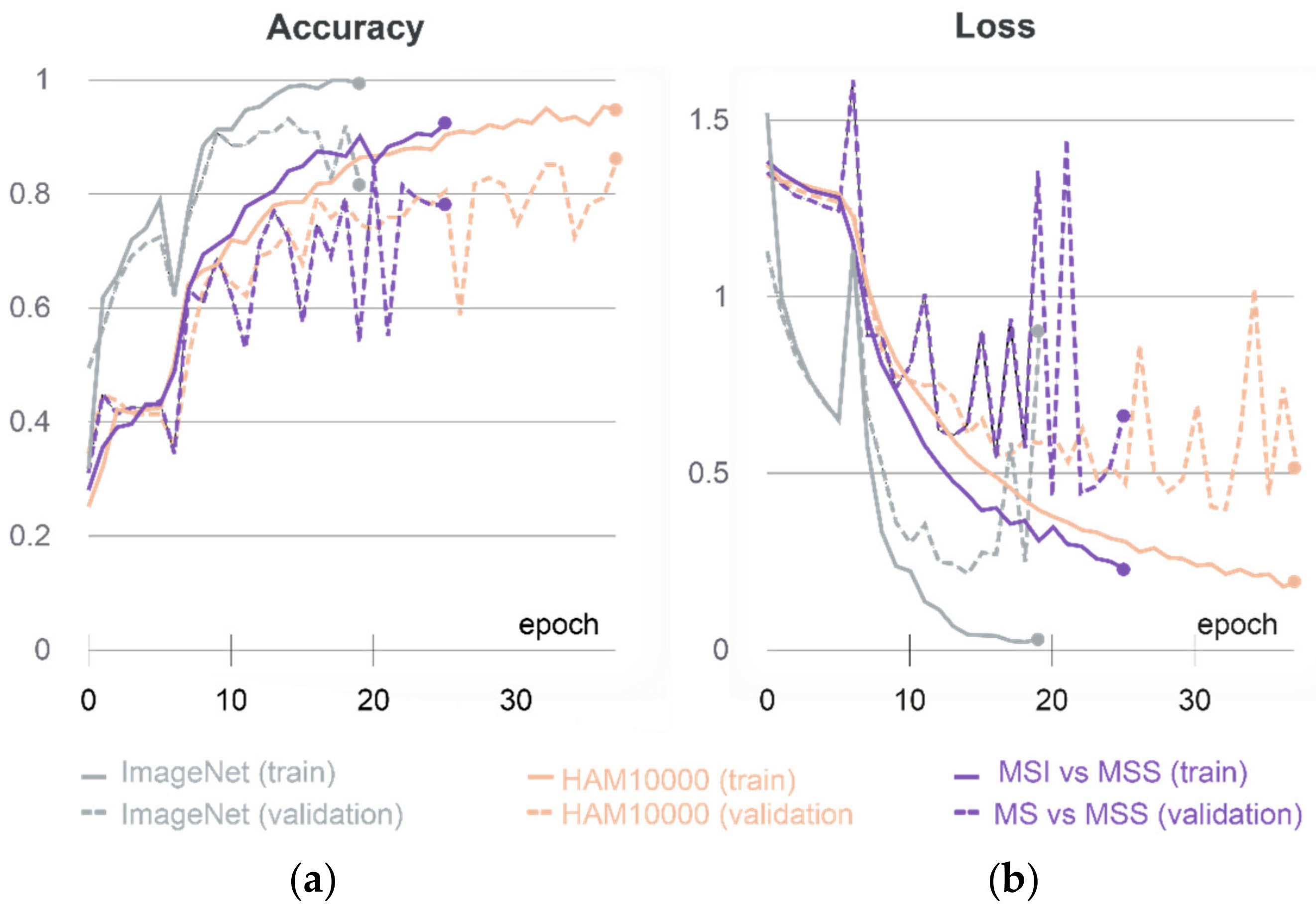 Geosciences 11 00336 g009