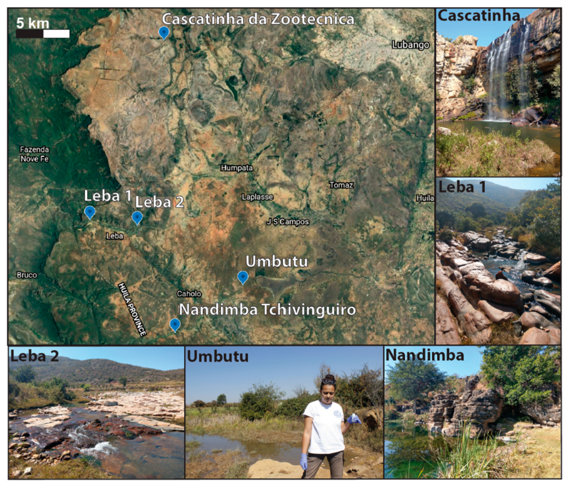 Geosciences 11 00359 g002