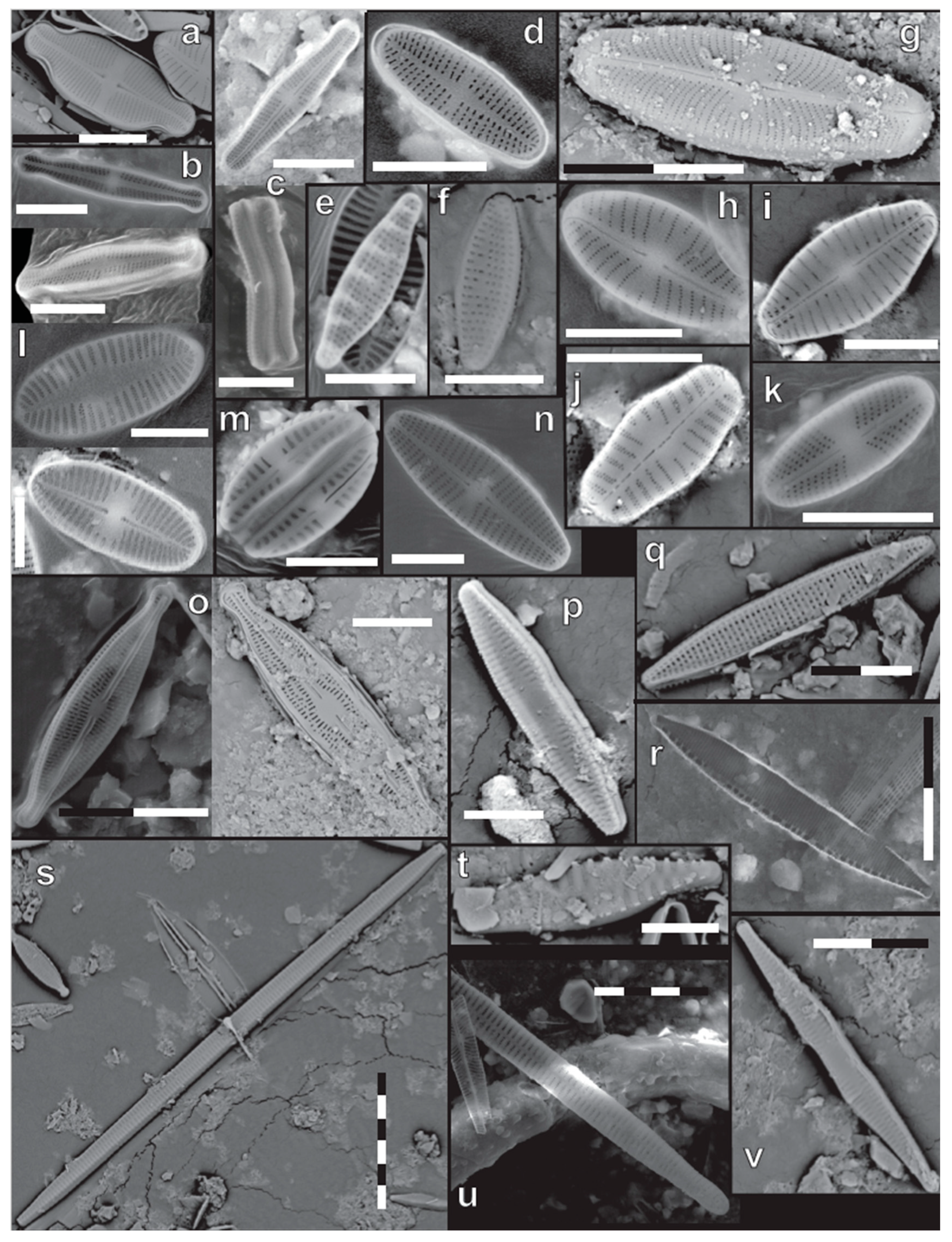 Geosciences 11 00359 g003