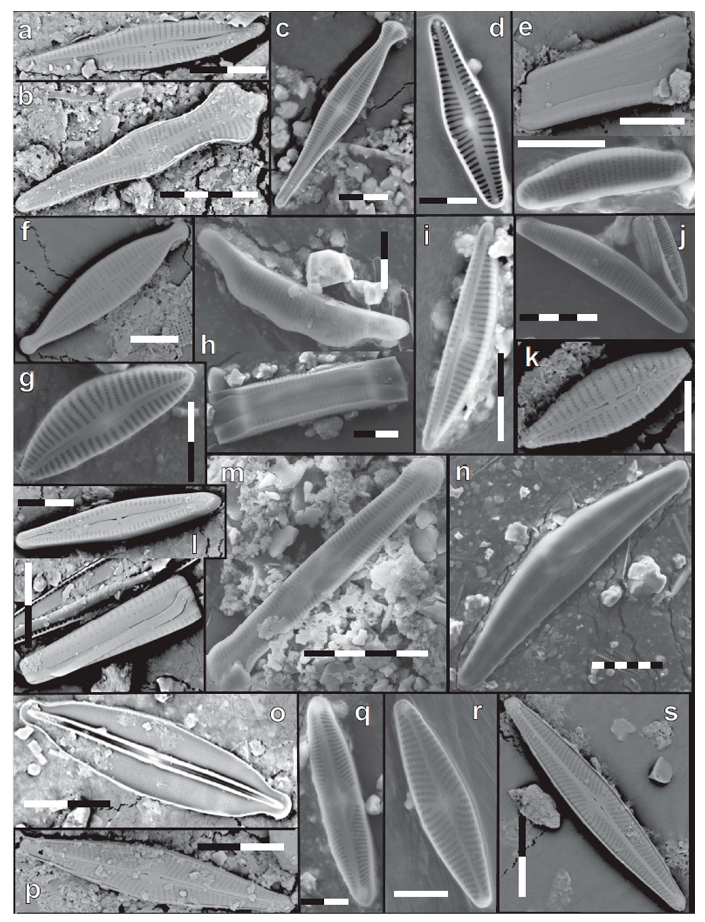 Geosciences 11 00359 g004