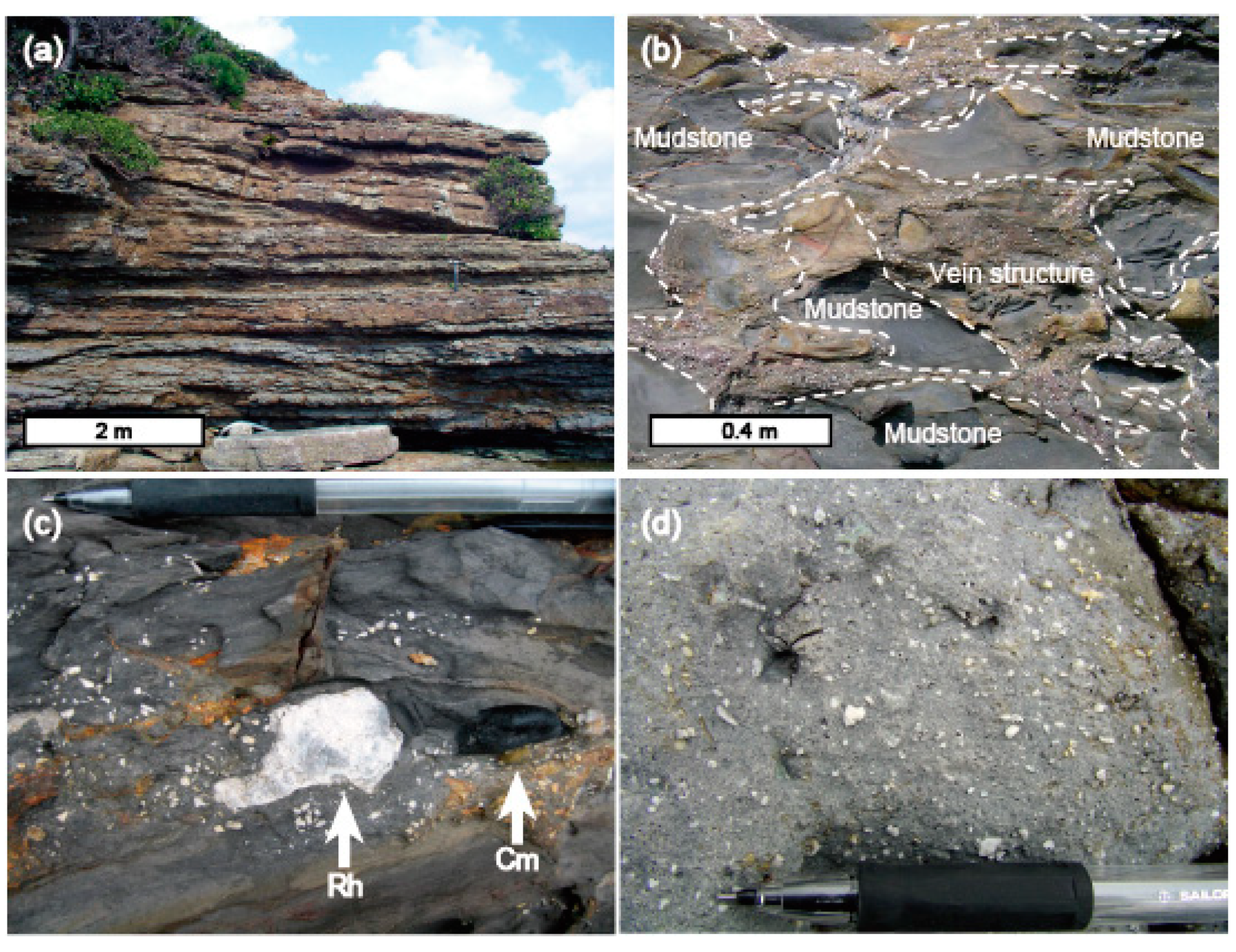 Geosciences 11 00363 g004