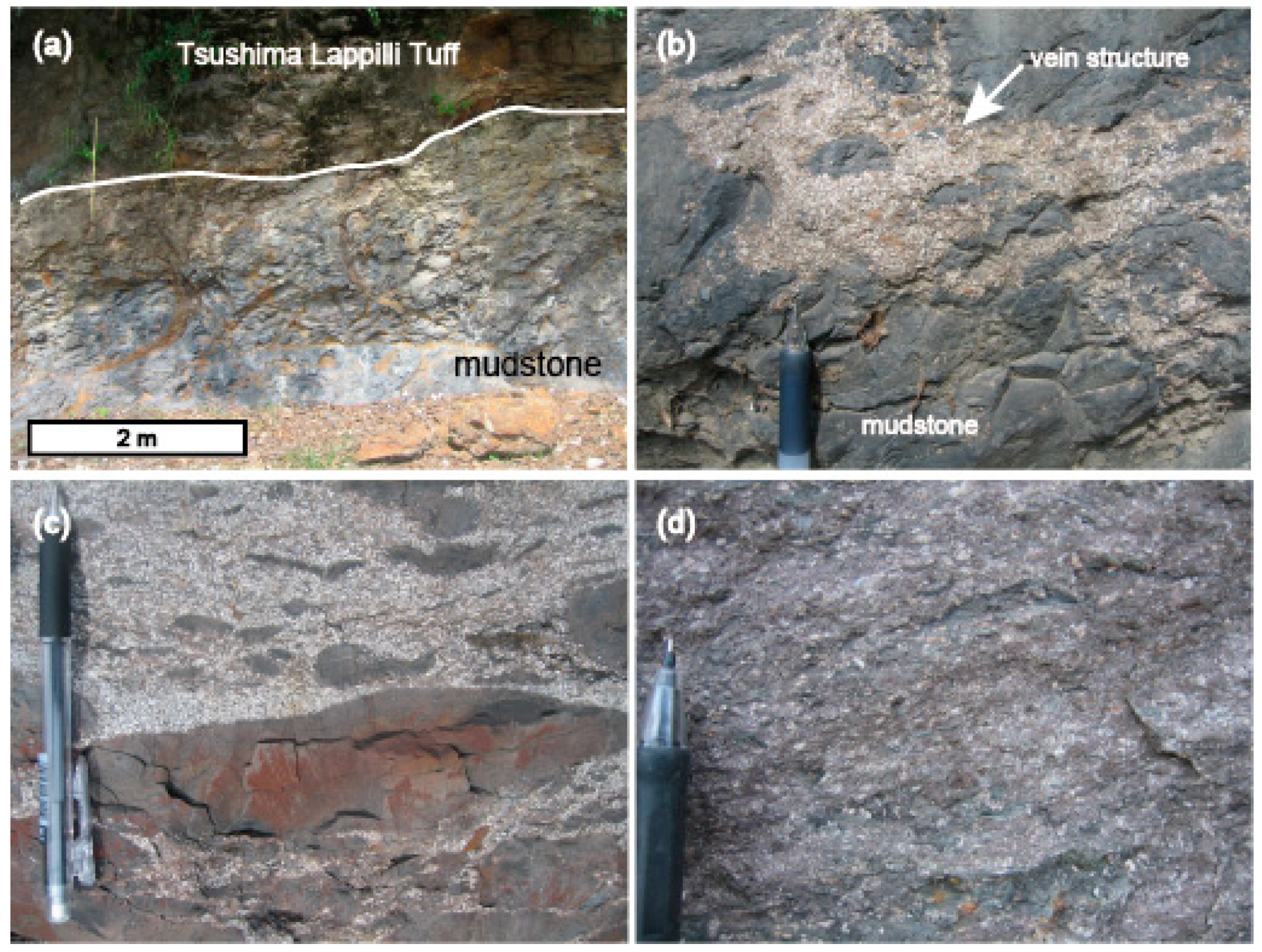 Geosciences 11 00363 g006