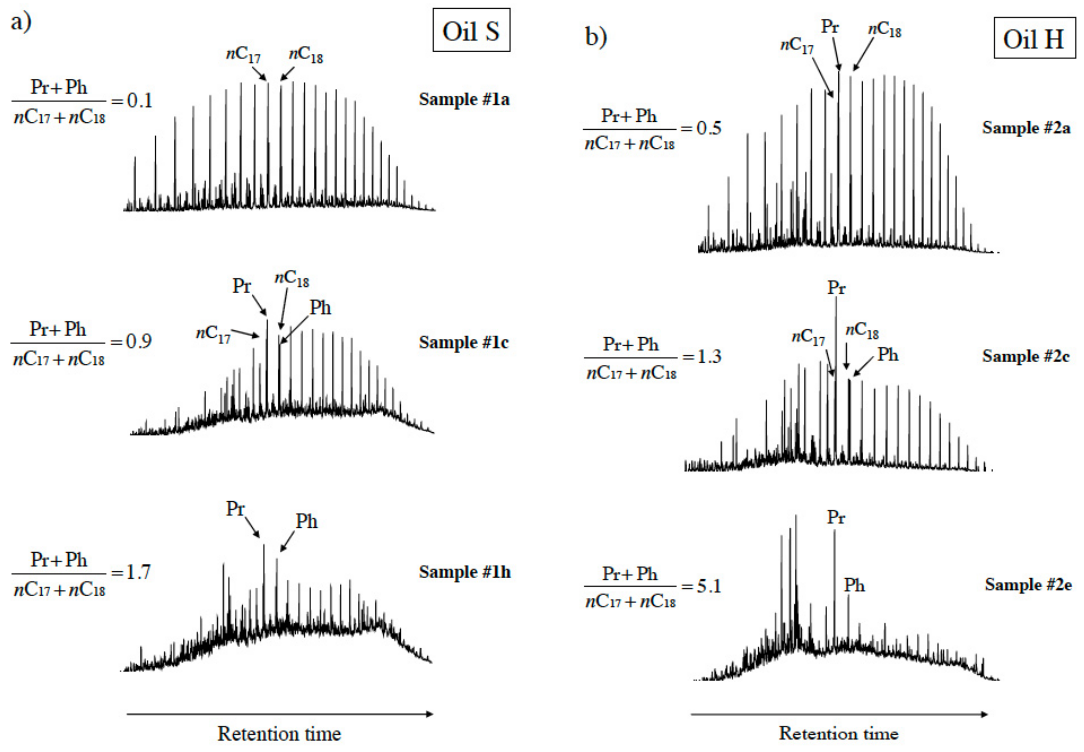 Geosciences 11 00365 g001