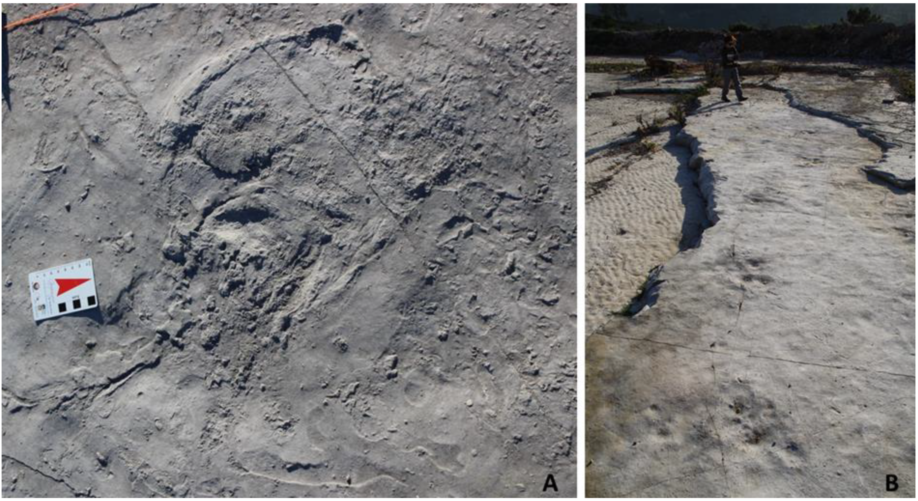 Geosciences 11 00366 g004