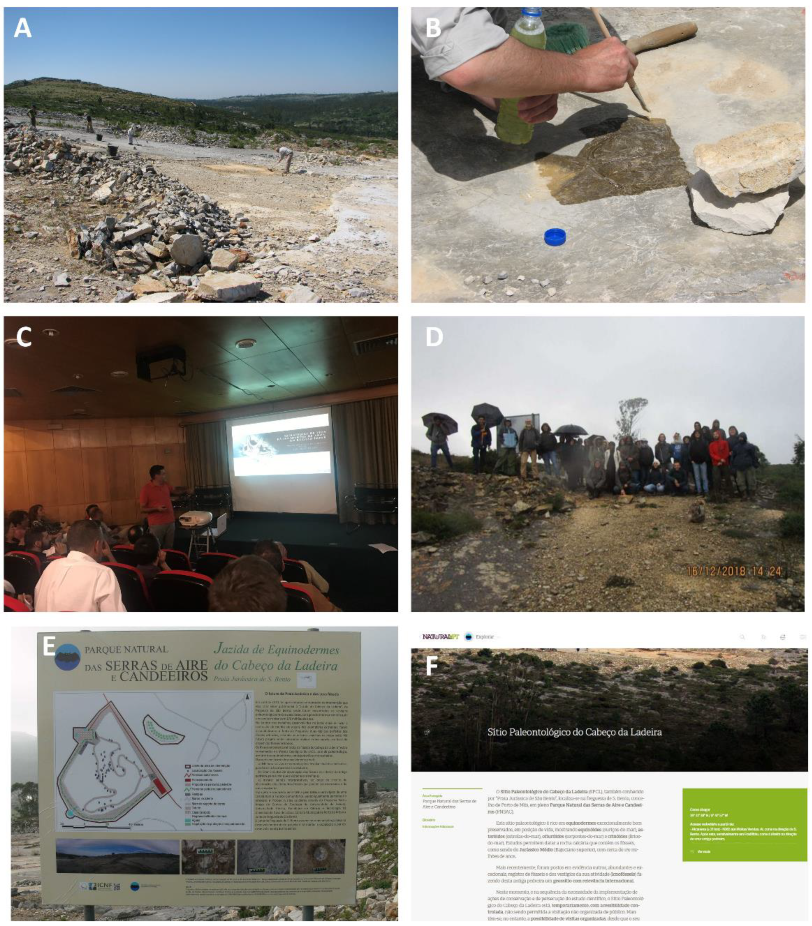 Geosciences 11 00366 g008