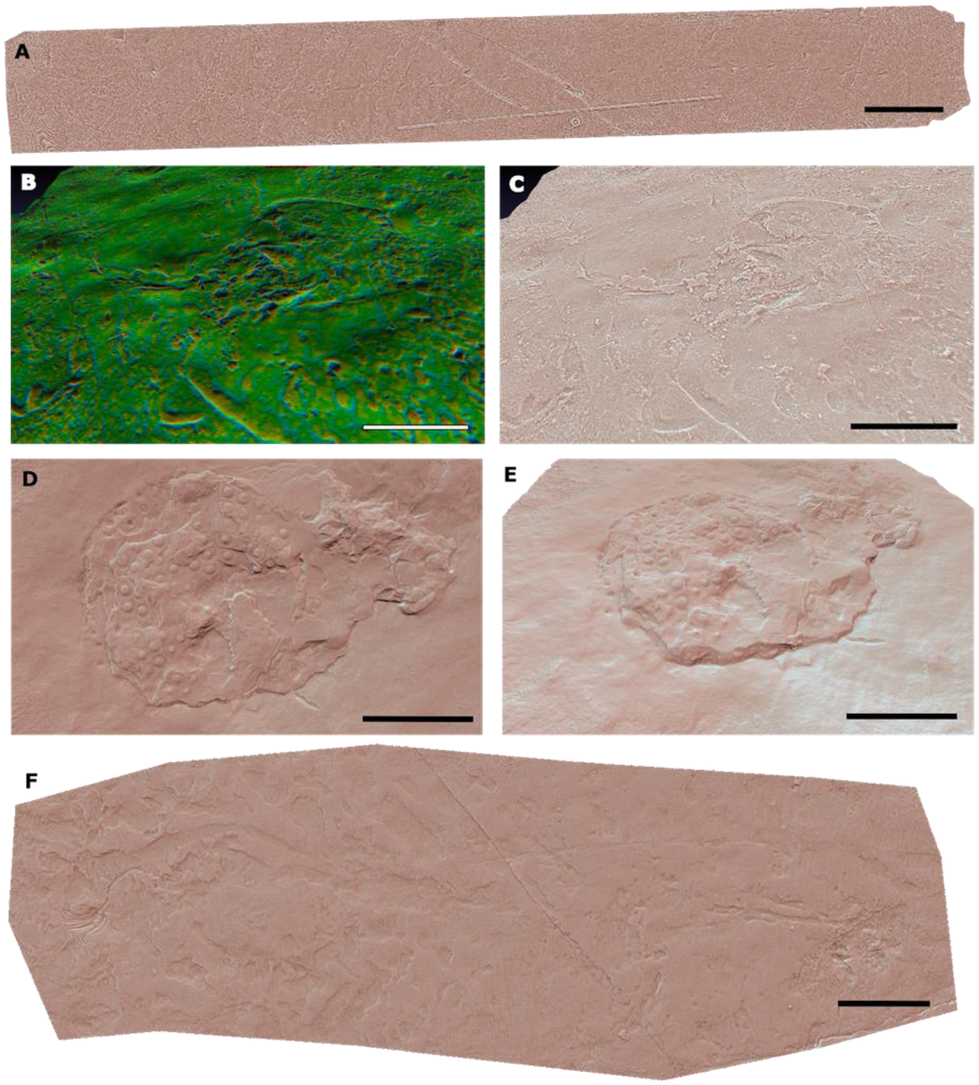 Geosciences 11 00366 g009