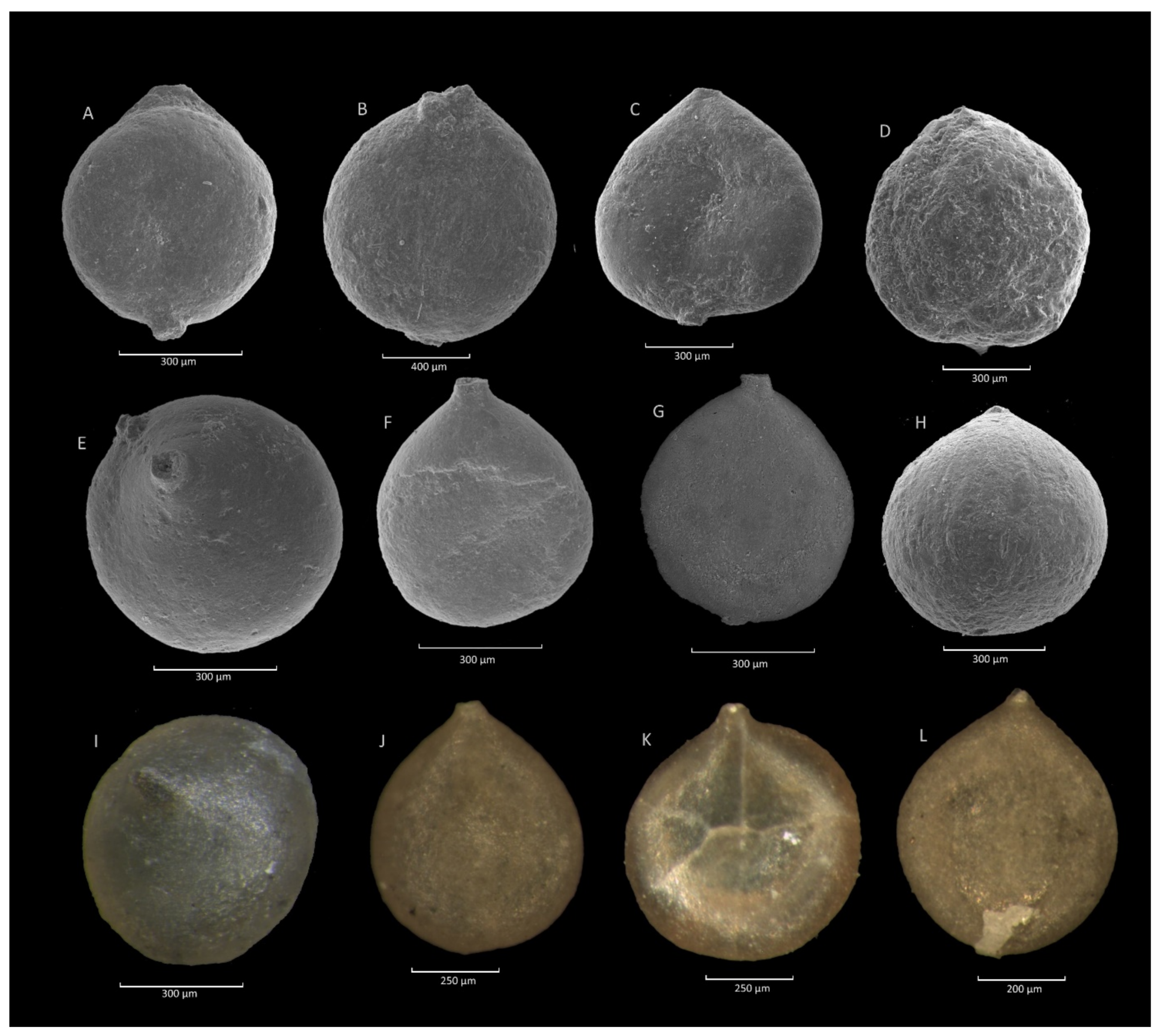 Geosciences 11 00367 g004