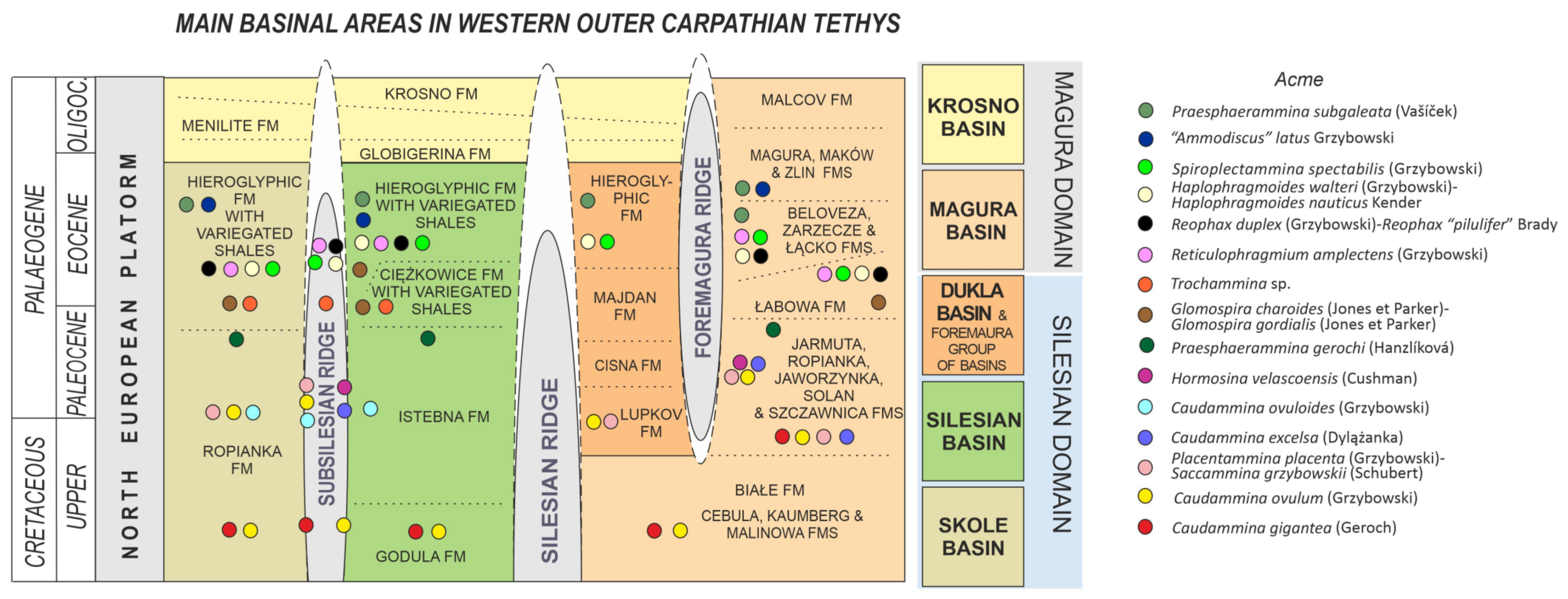 Geosciences 11 00367 g005