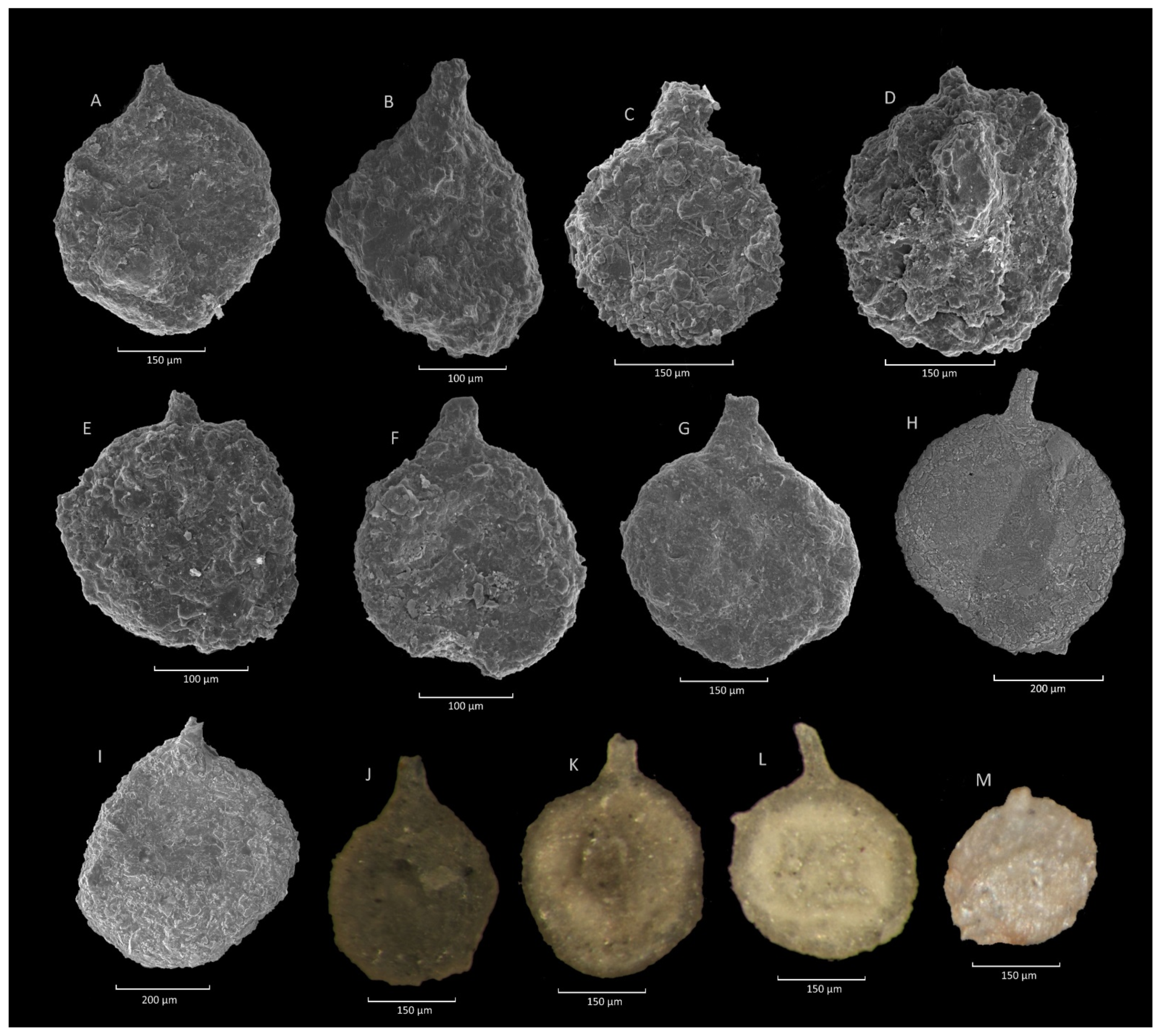 Geosciences 11 00367 g008