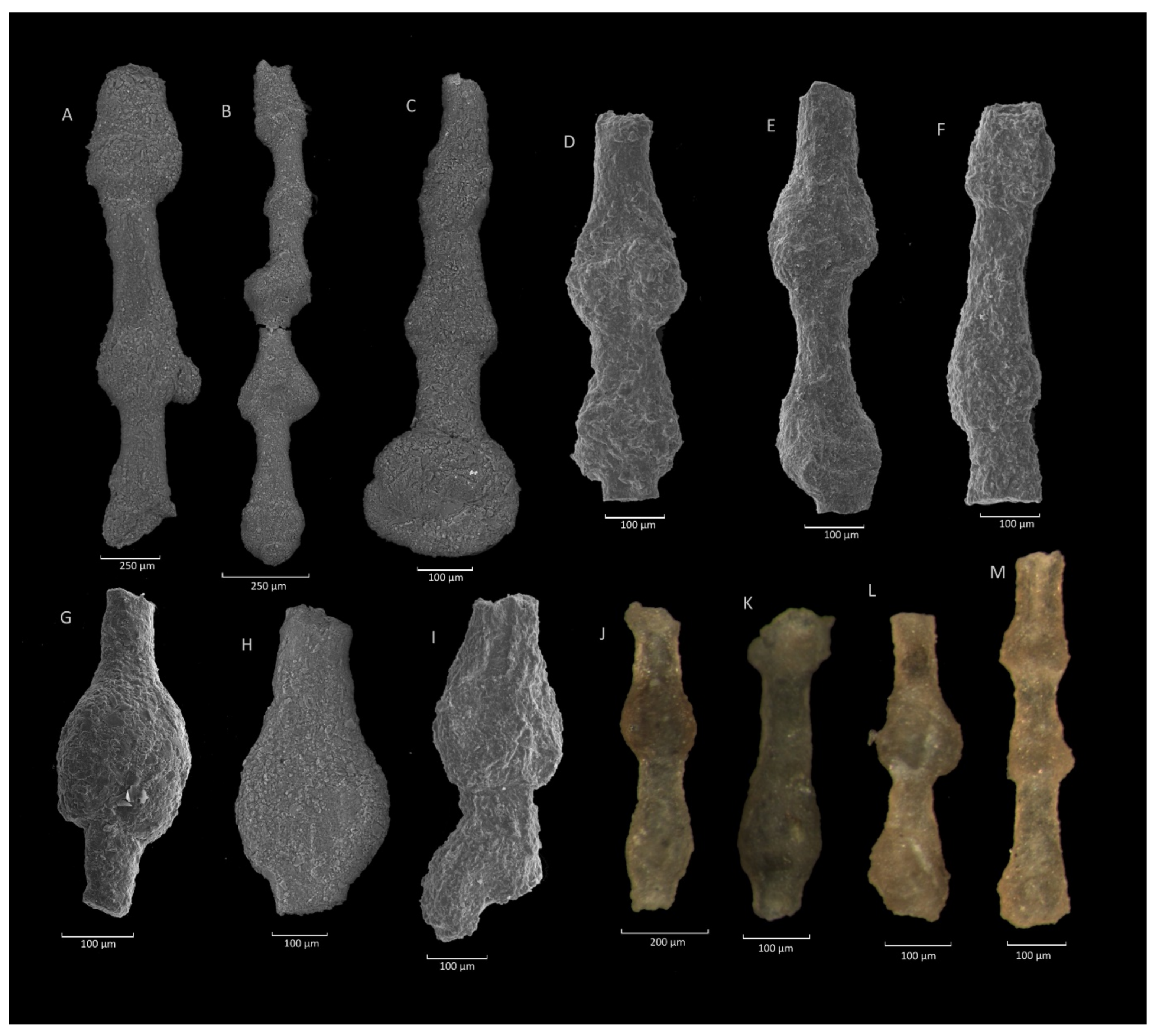 Geosciences 11 00367 g009