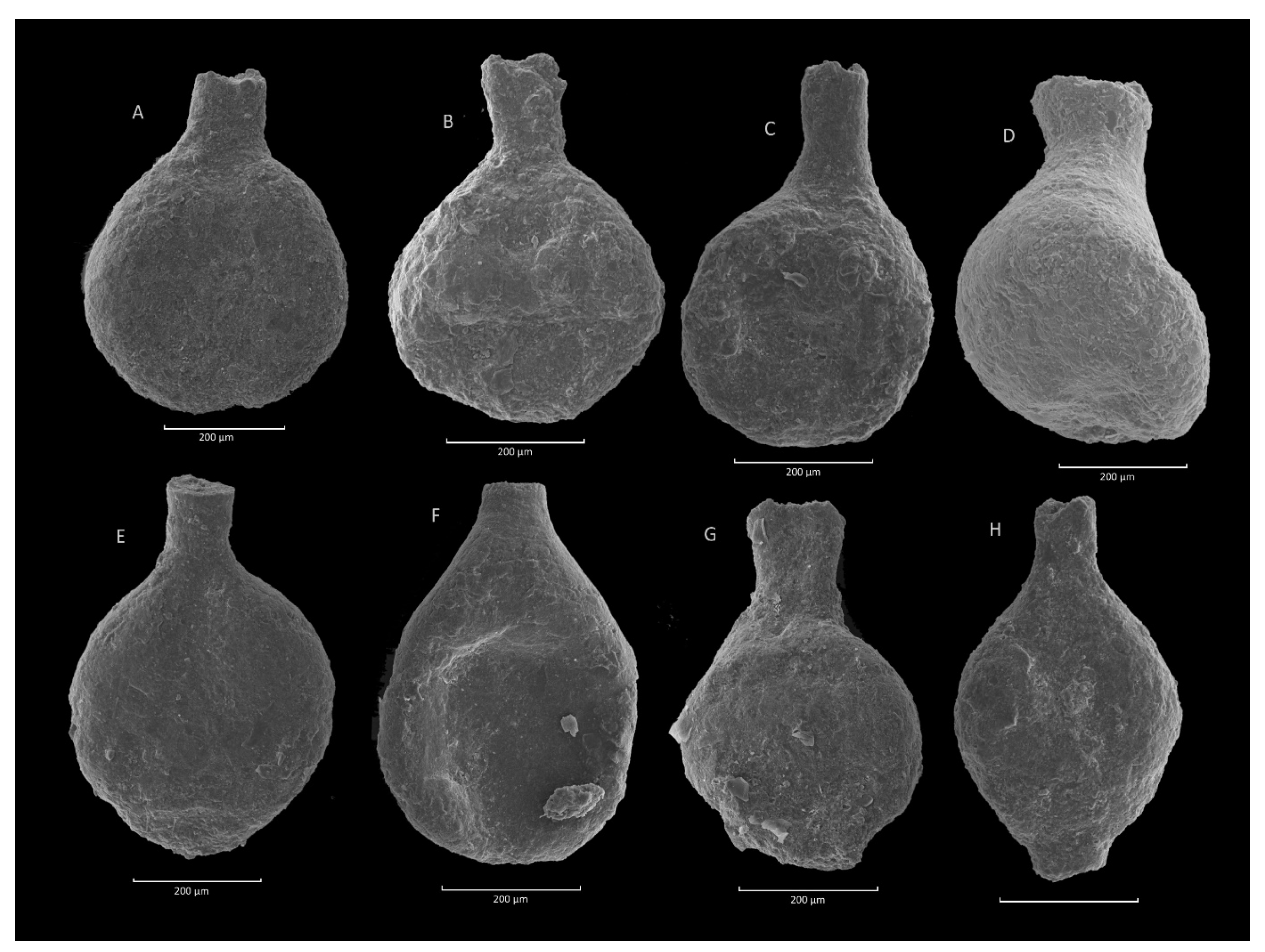Geosciences 11 00367 g010