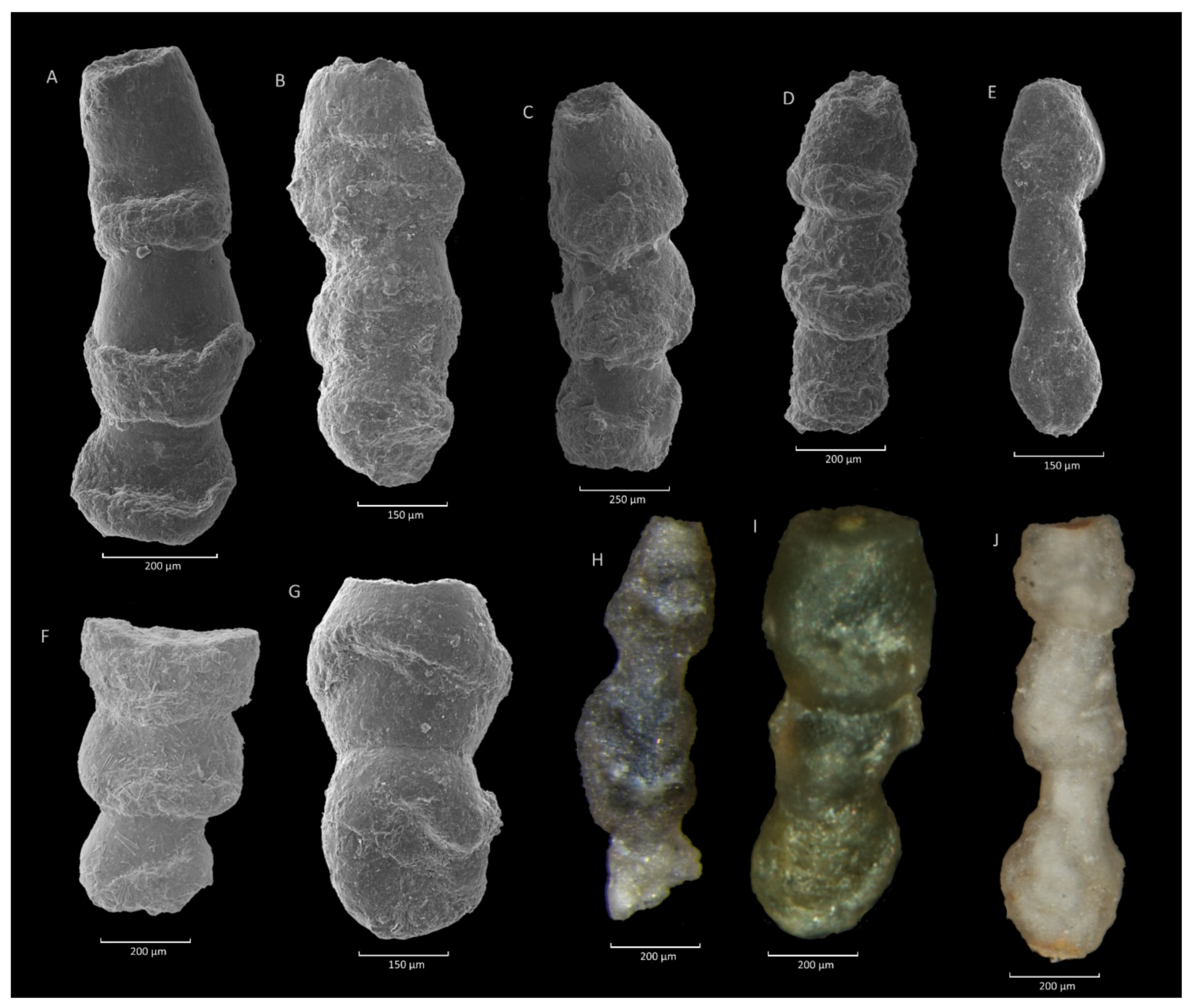 Geosciences 11 00367 g011