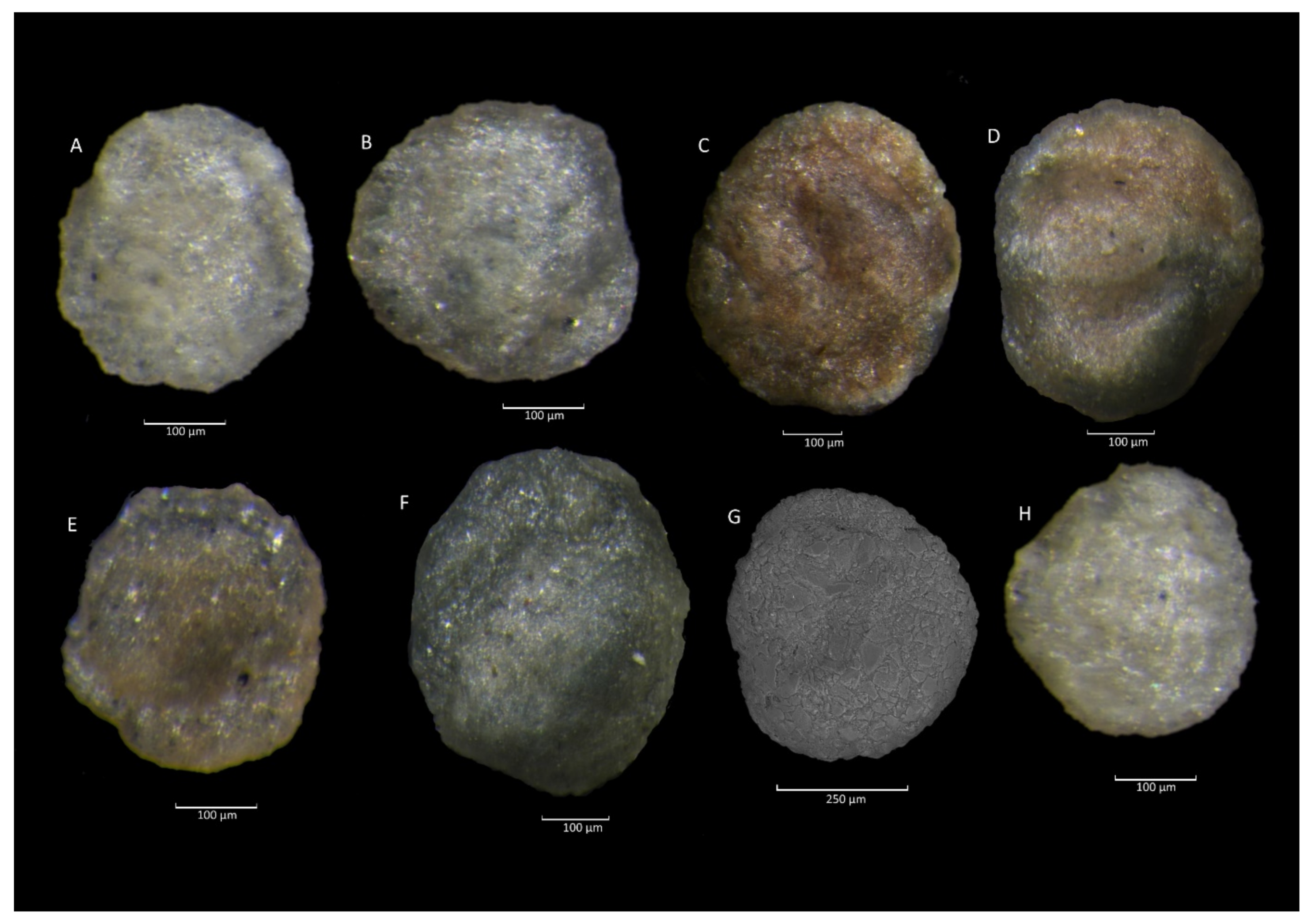 Geosciences 11 00367 g012