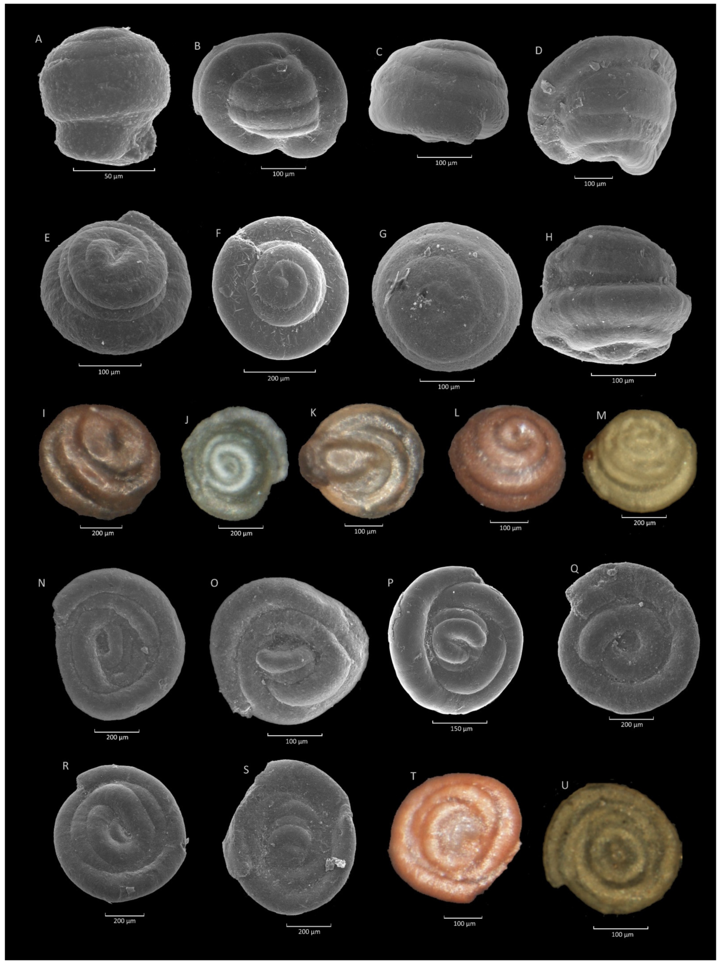 Geosciences 11 00367 g013