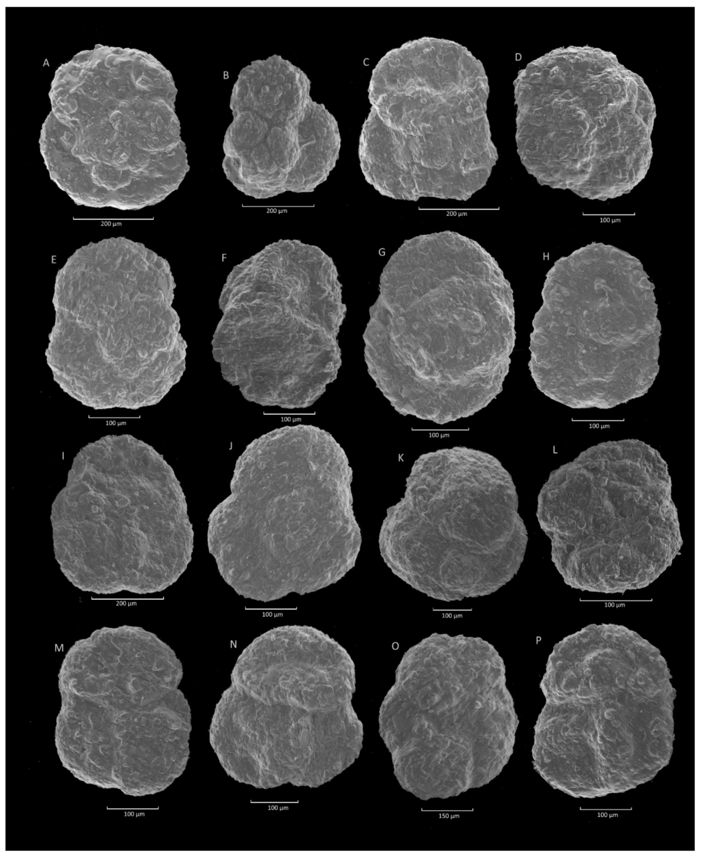 Geosciences 11 00367 g014