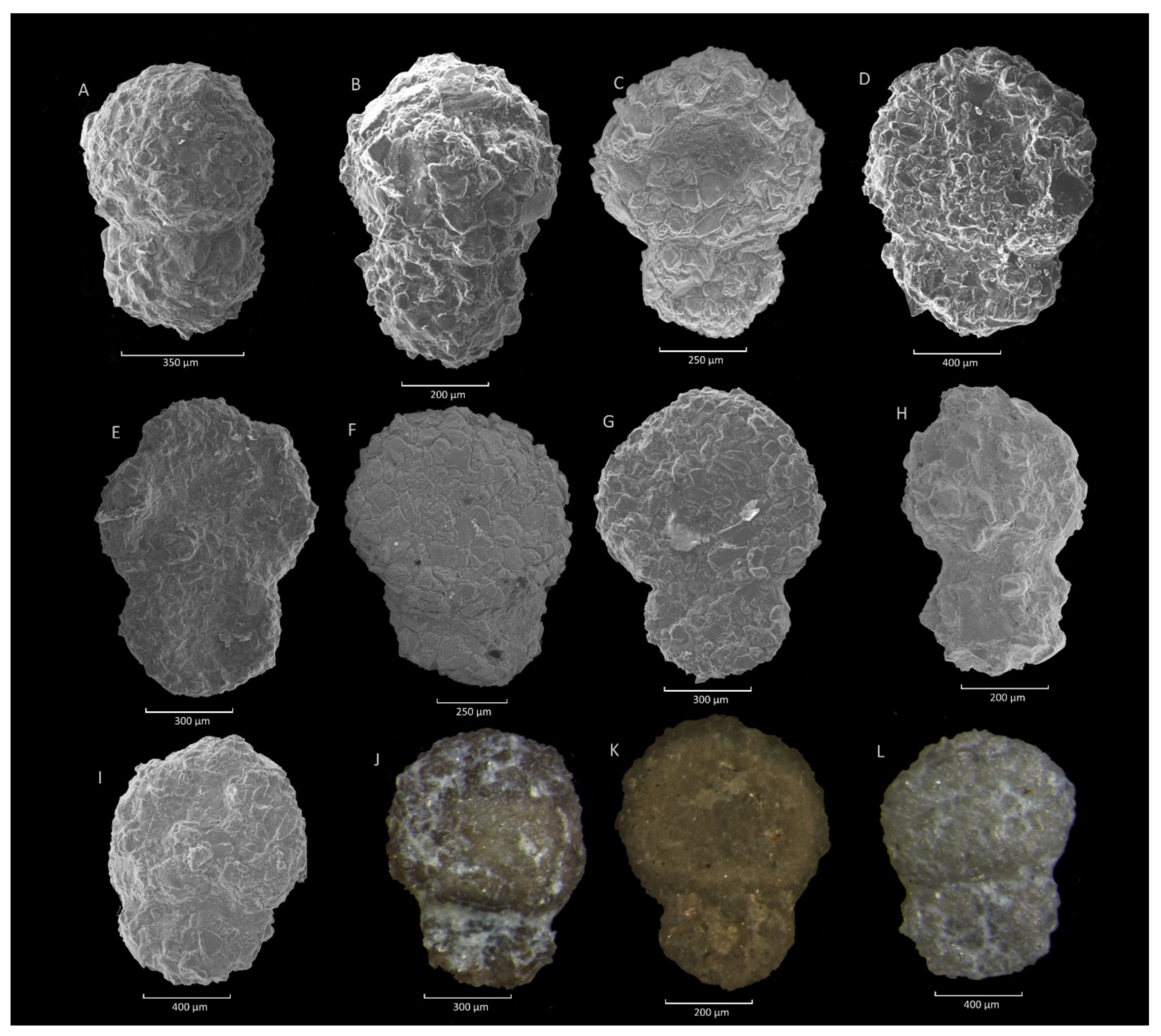 Geosciences 11 00367 g017