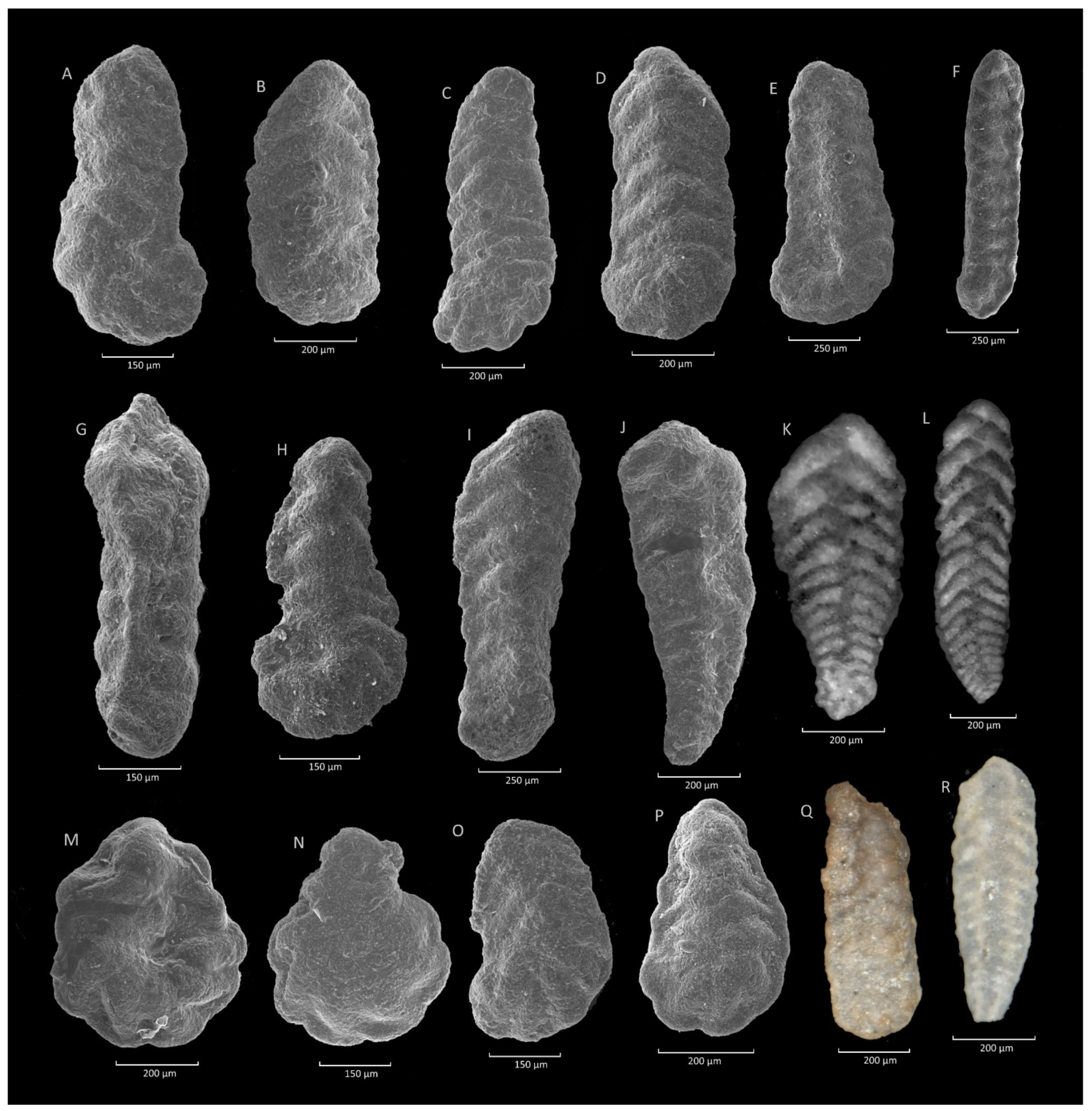 Geosciences 11 00367 g020