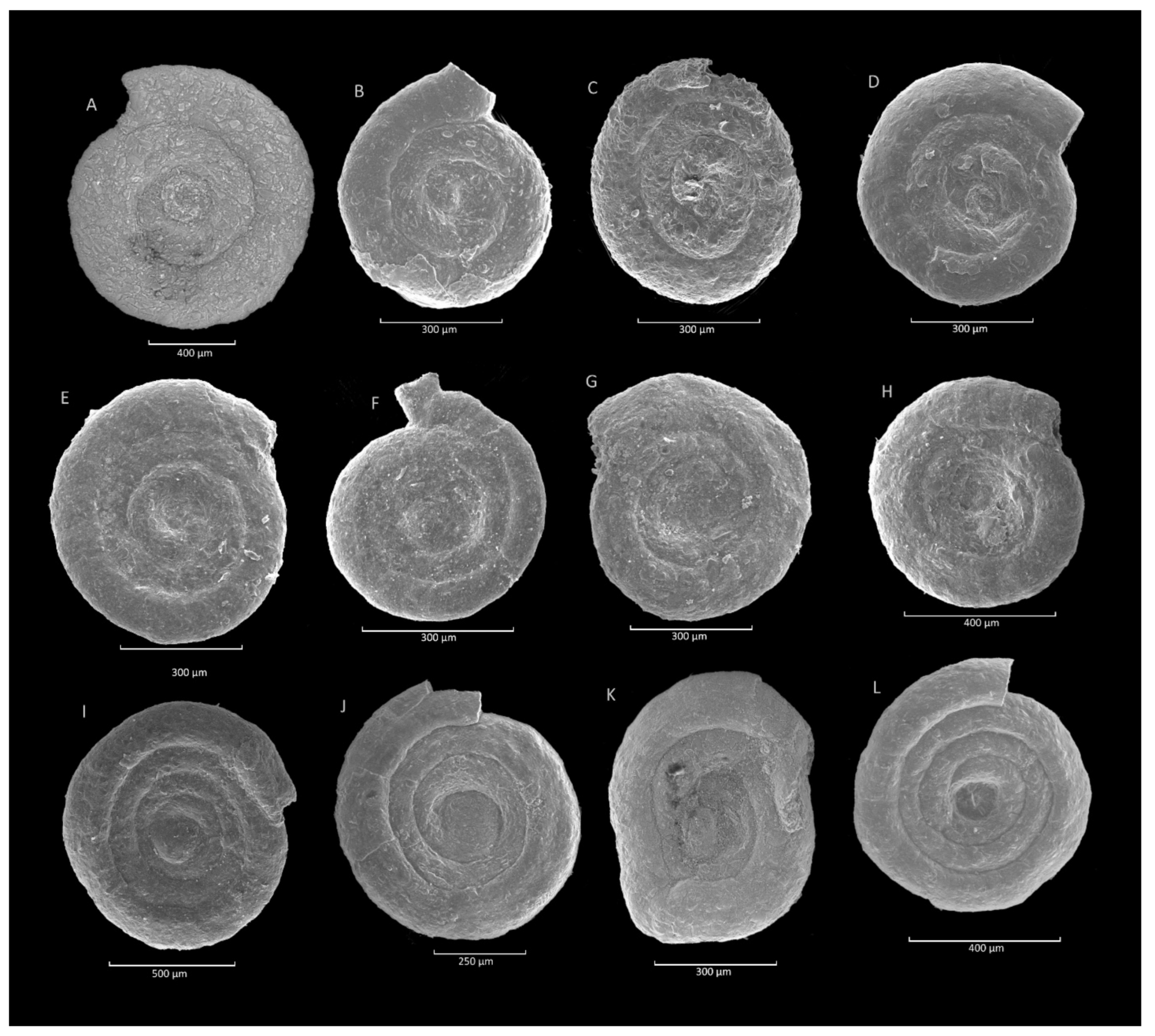 Geosciences 11 00367 g021