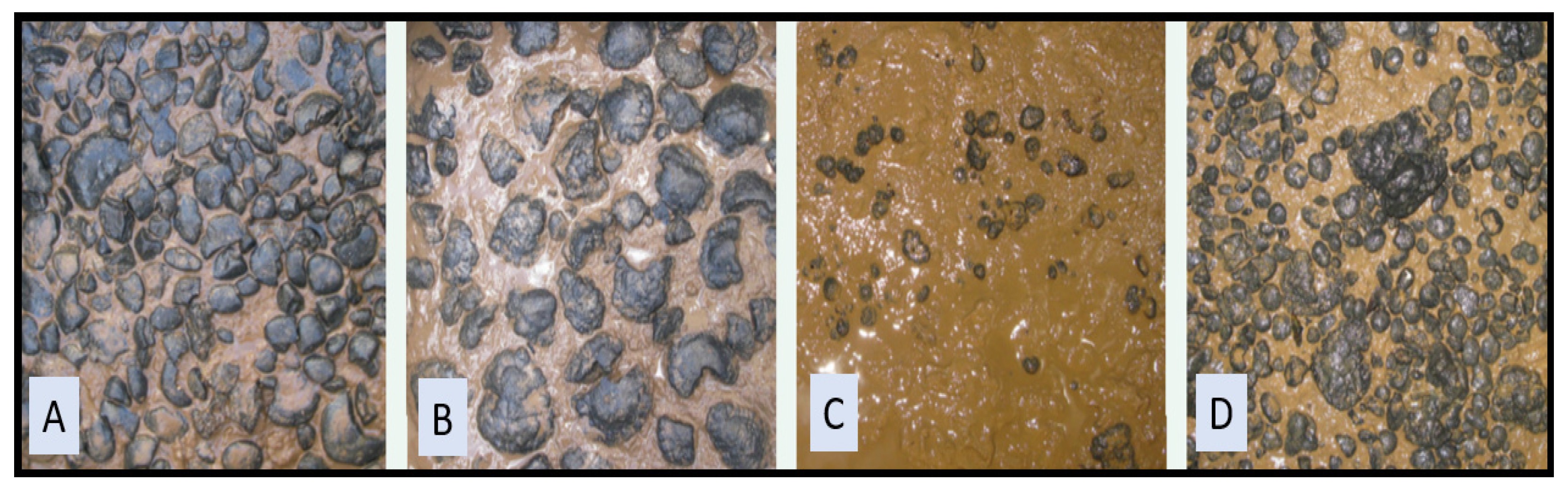 Geosciences 11 00407 g011